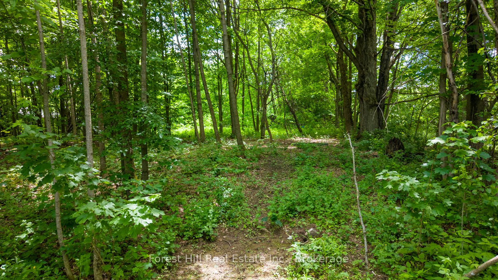 154 Bowles Bluff Road Property Photo 5