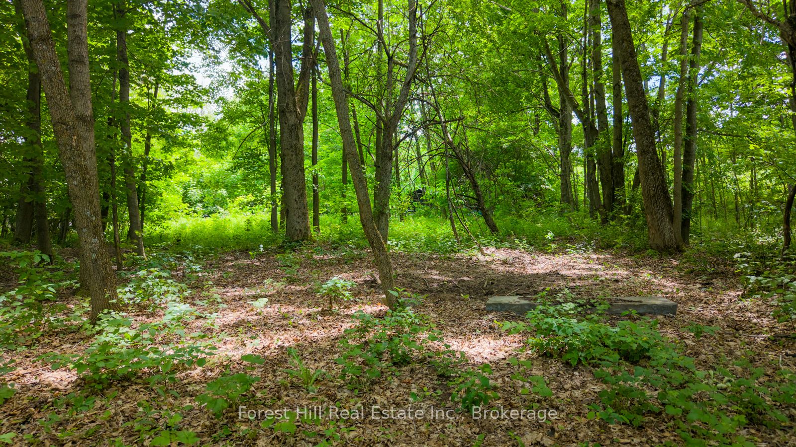 154 Bowles Bluff Road Property Photo 6