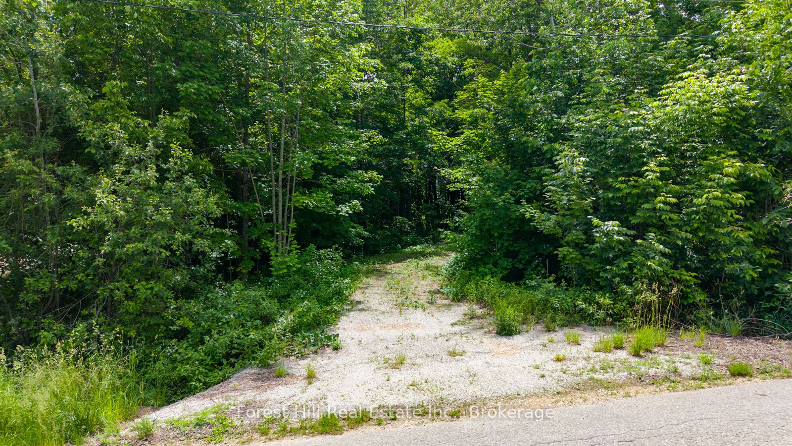 154 Bowles Bluff Road Property Photo 7