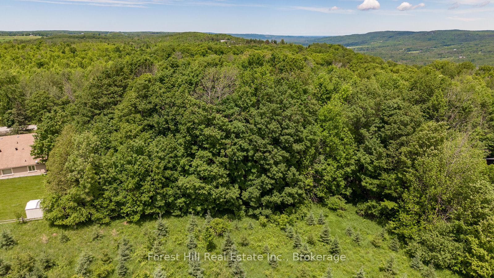 154 Bowles Bluff Road Property Photo 20