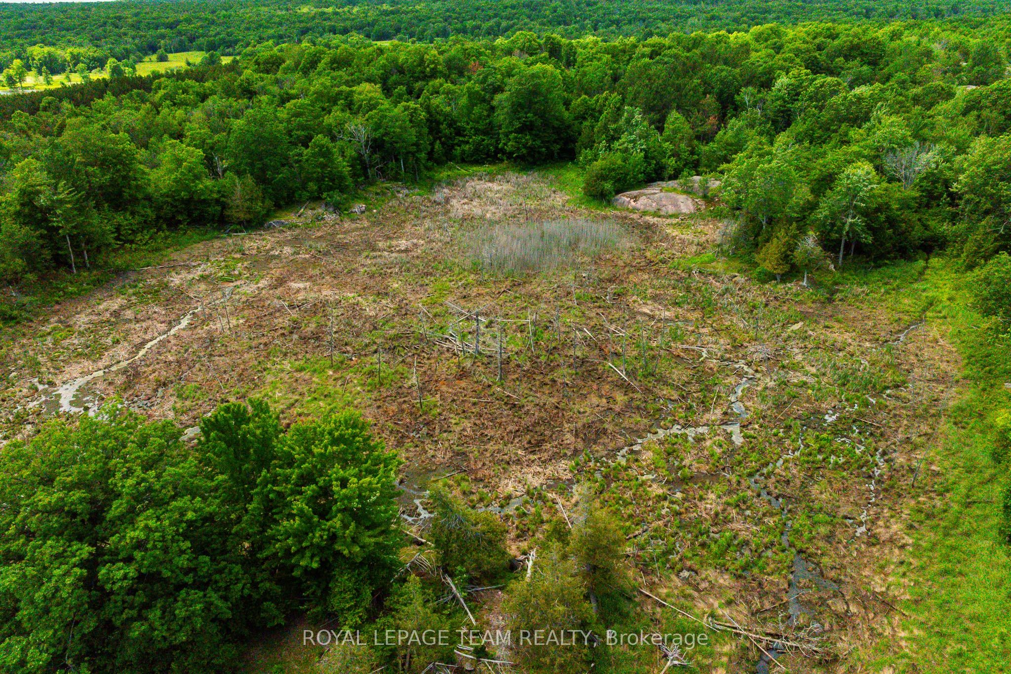 Tbd Scott Lane Property Photo 8