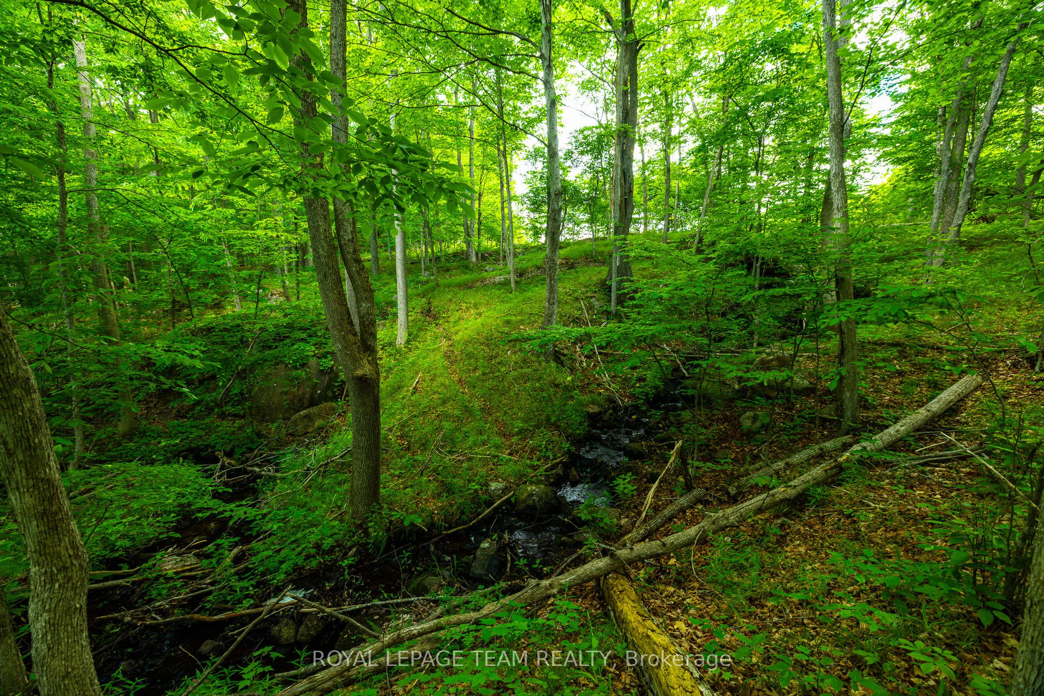 Tbd Scott Lane Property Photo 14