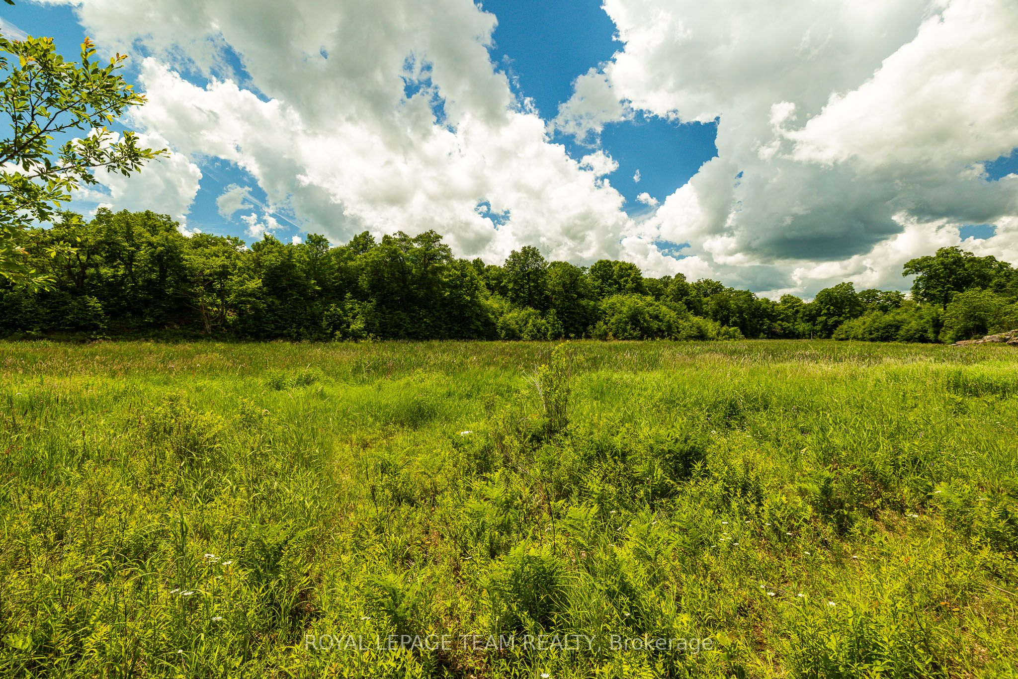 Tbd Scott Lane Property Photo 15