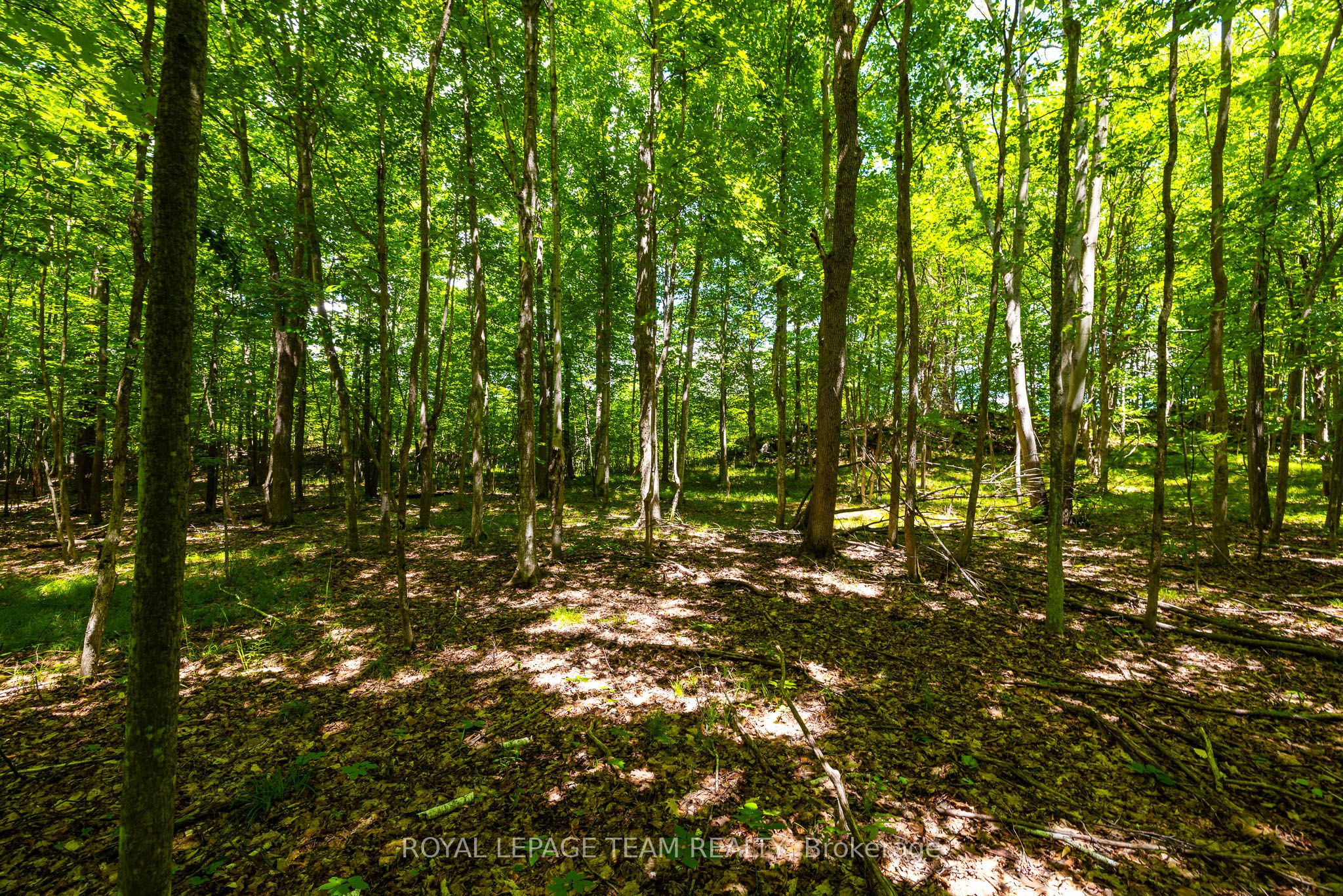 Tbd Scott Lane Property Photo 17