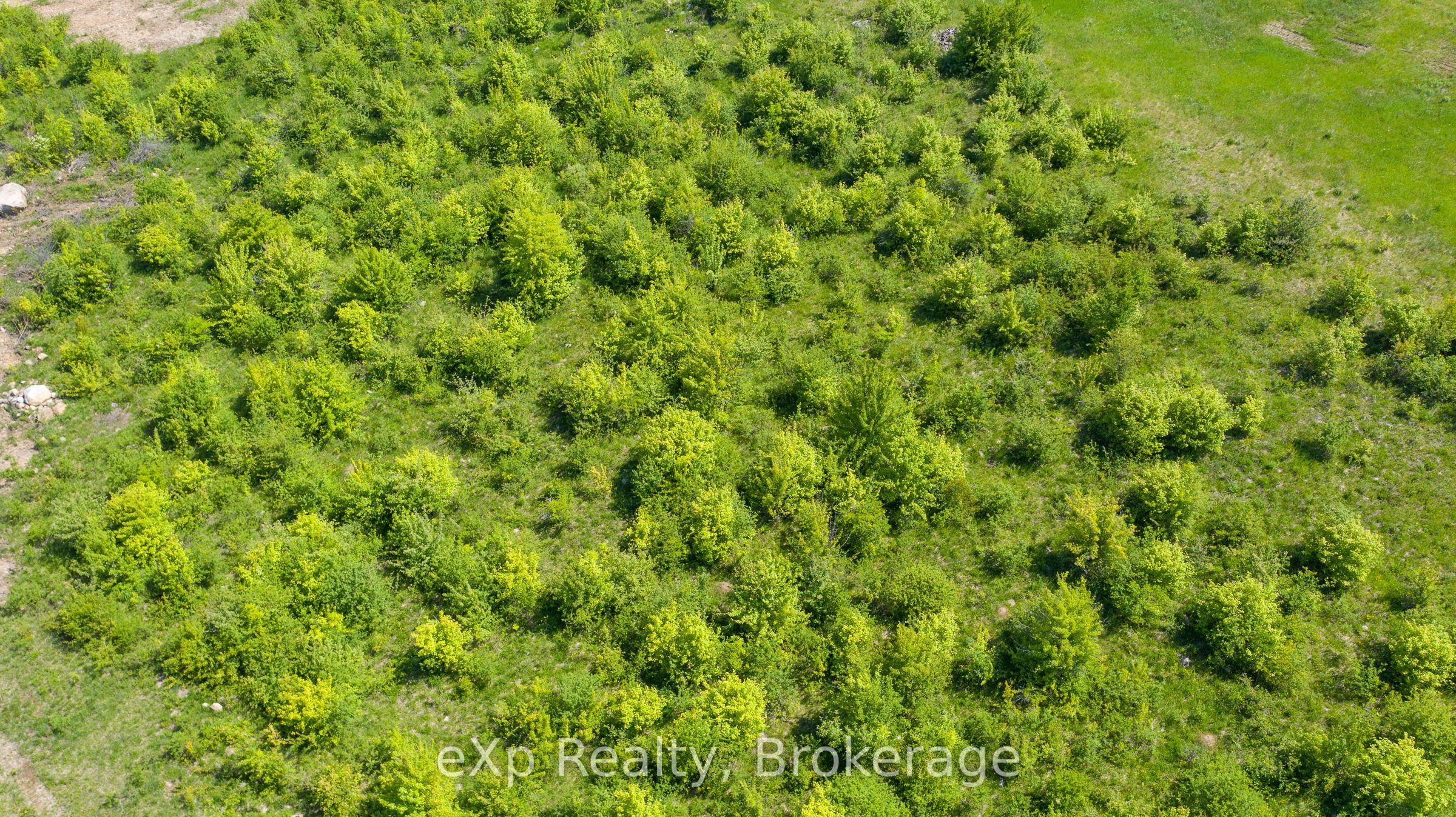Lot 23 Con A Property Photo 18