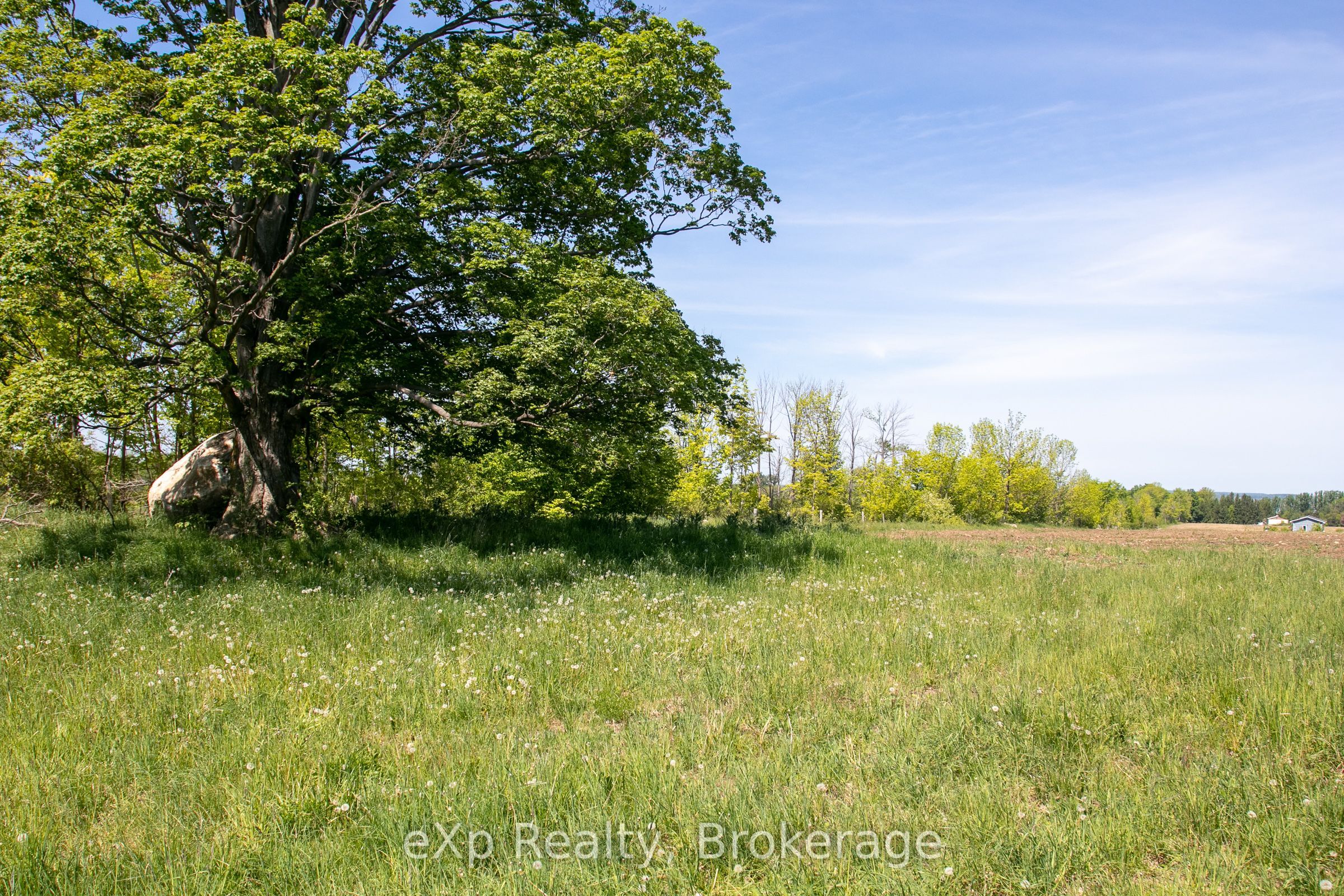 Lot 23 Con A Property Photo 25