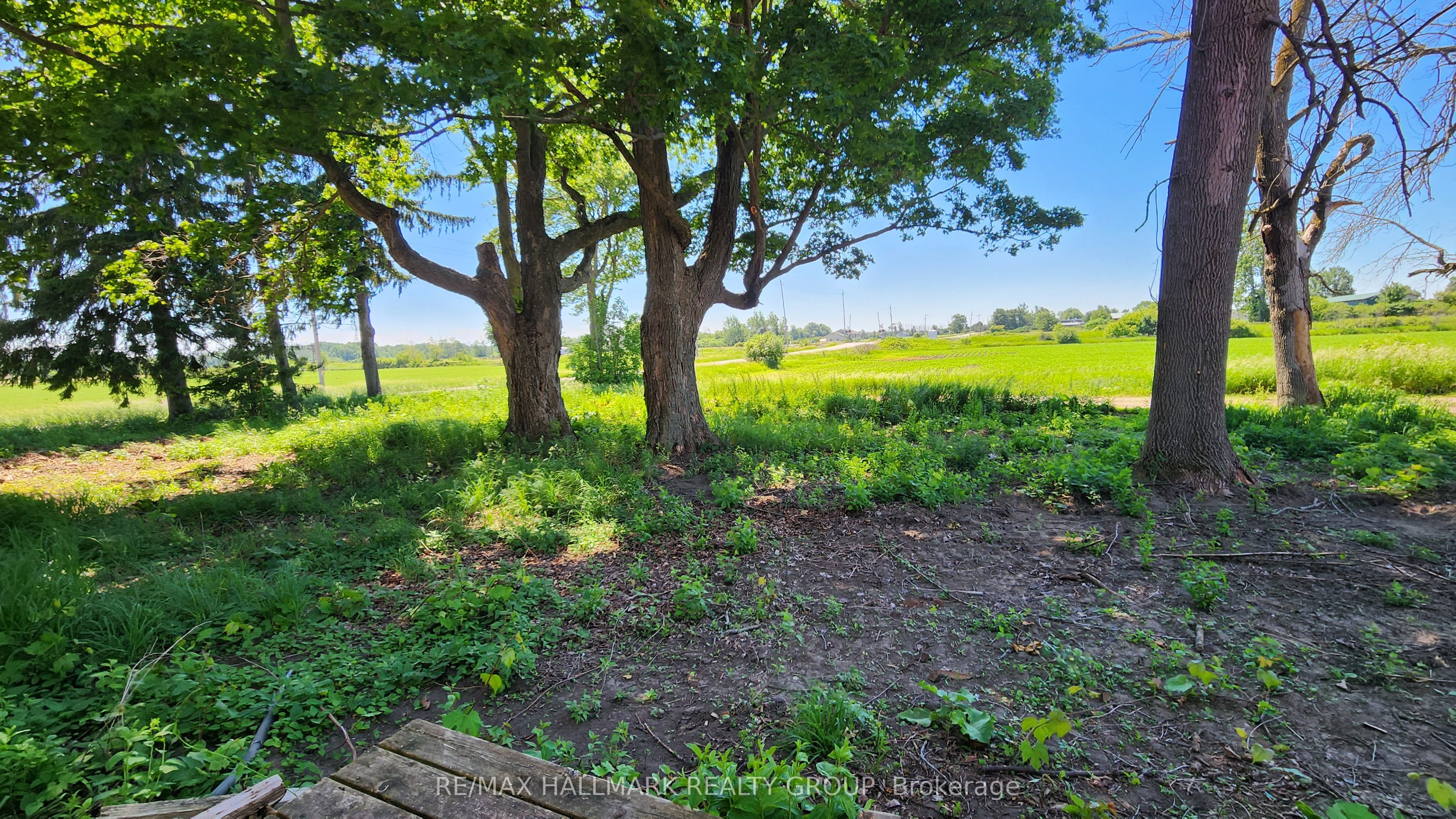 2429 Hiscocks Road Property Photo 44