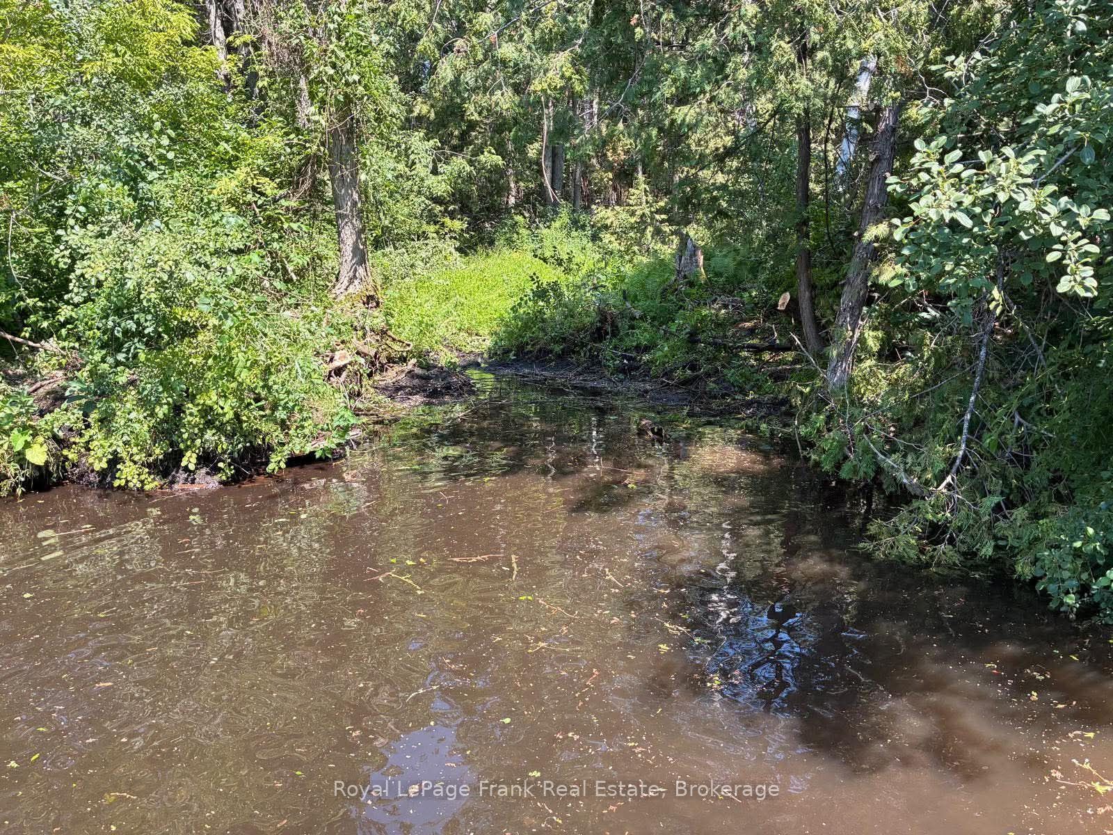 0 Balsam Lake Drive Property Photo 1