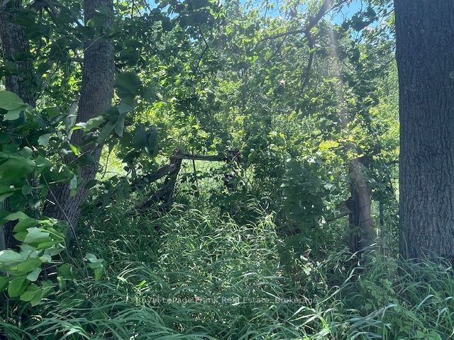 0 Balsam Lake Drive Property Photo 3