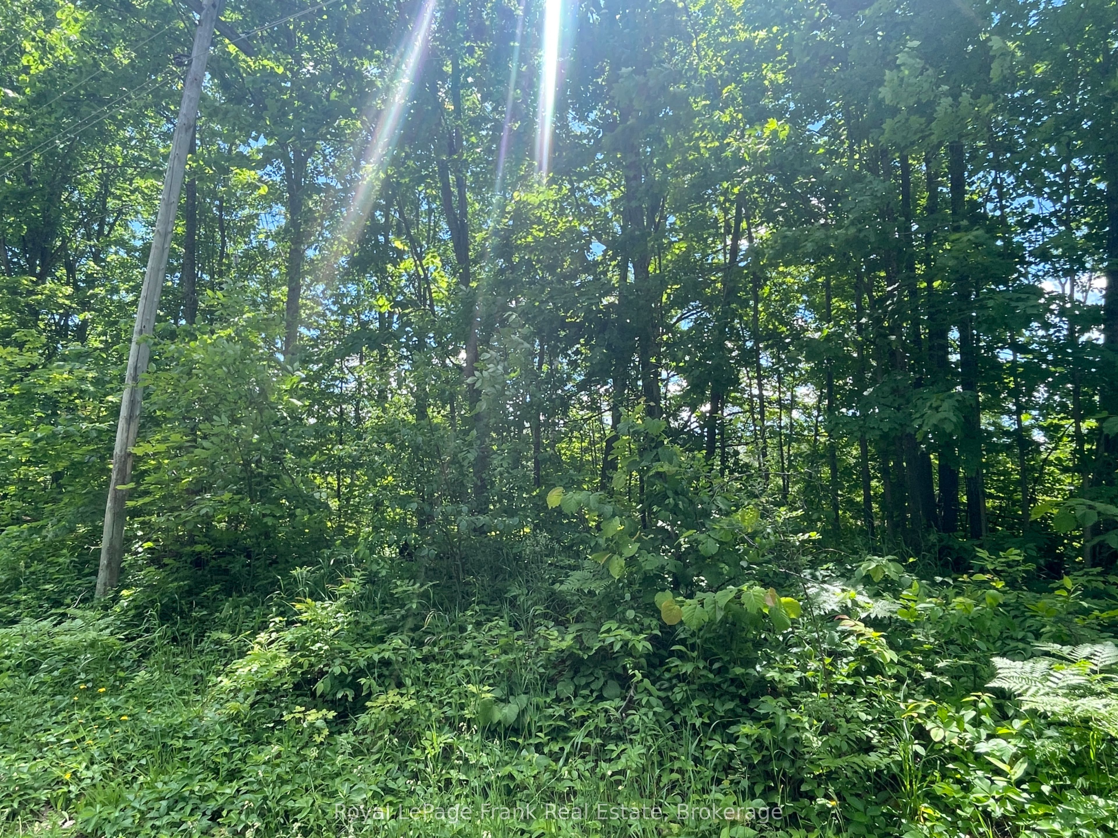 0 Balsam Lake Drive Property Photo 6