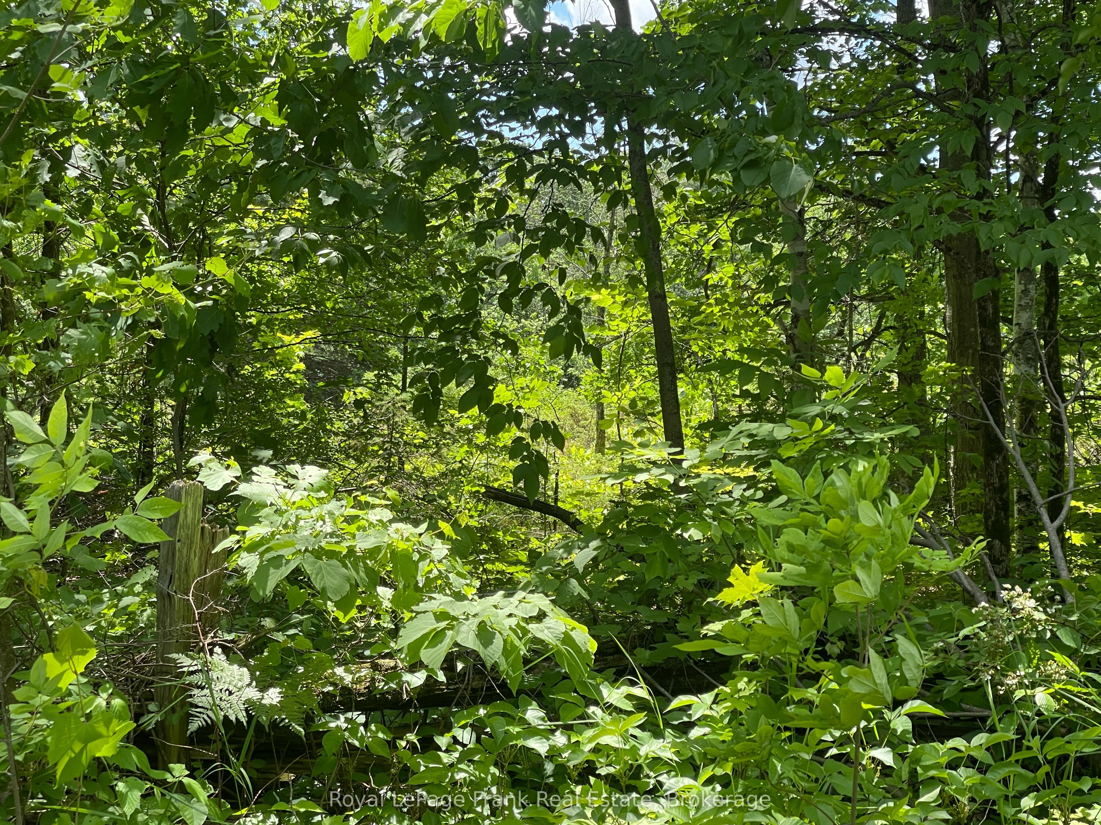 0 Balsam Lake Drive Property Photo 8