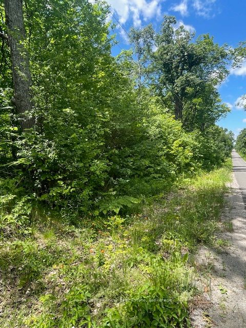 0 Balsam Lake Drive Property Photo 12