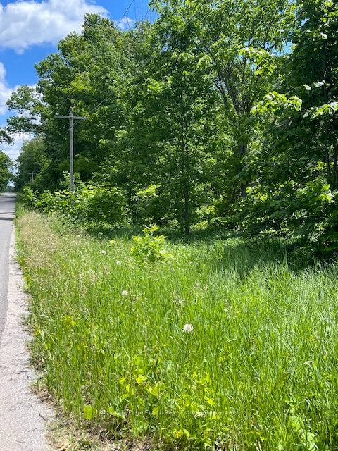 0 Balsam Lake Drive Property Photo 15