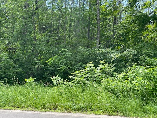 0 Balsam Lake Drive Property Photo 19