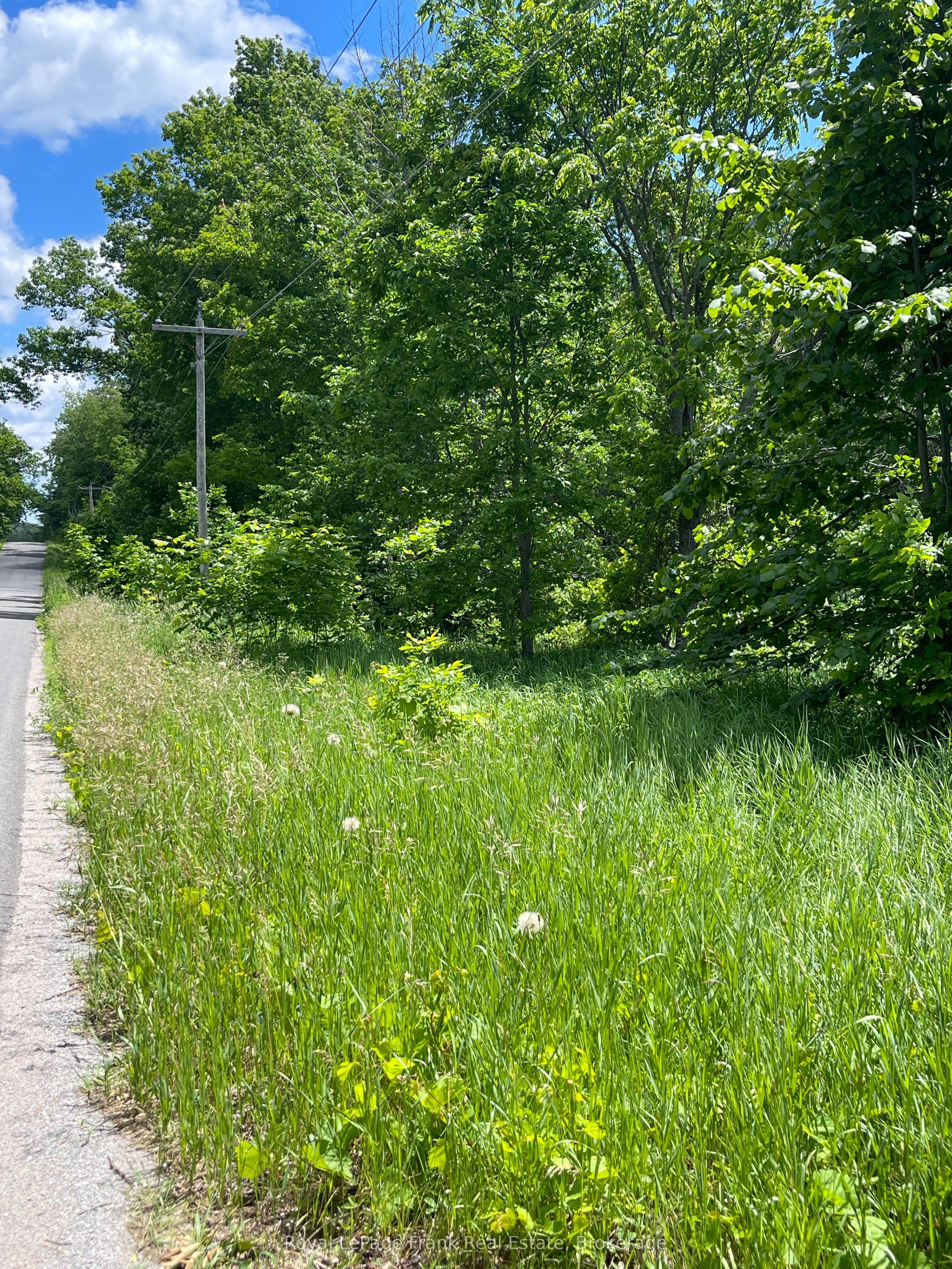 0 Balsam Lake Drive Property Photo 20