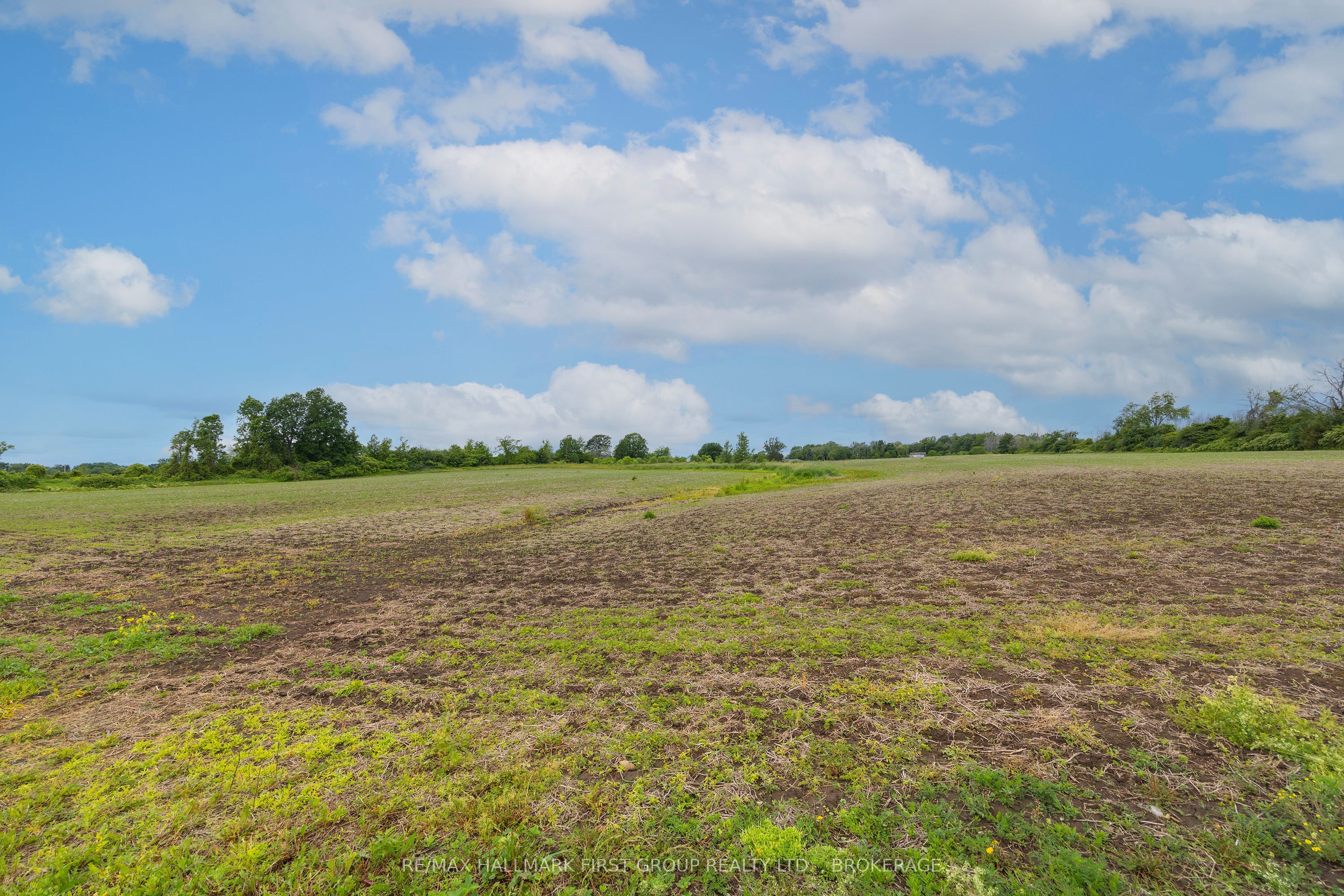 9656 Loyalist Parkway Property Photo 49