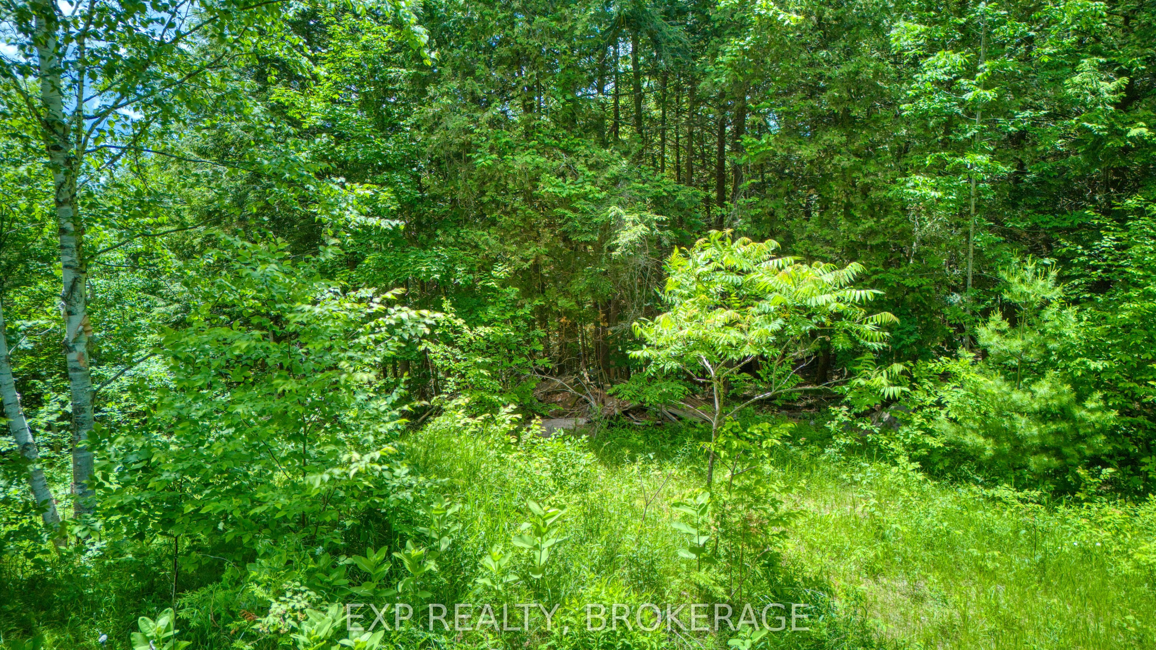1142a Point Lane Property Photo 18