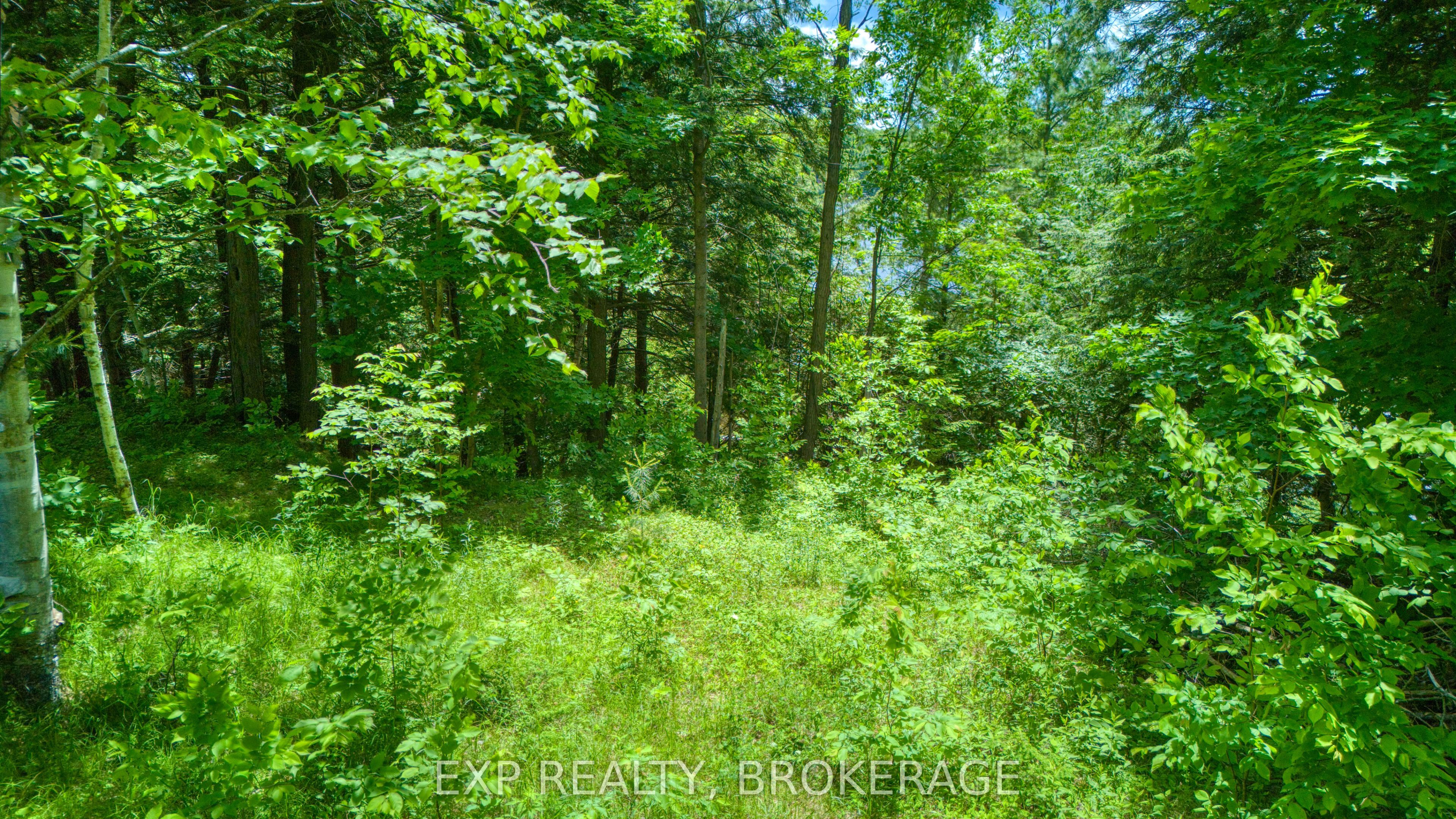 1142a Point Lane Property Photo 19