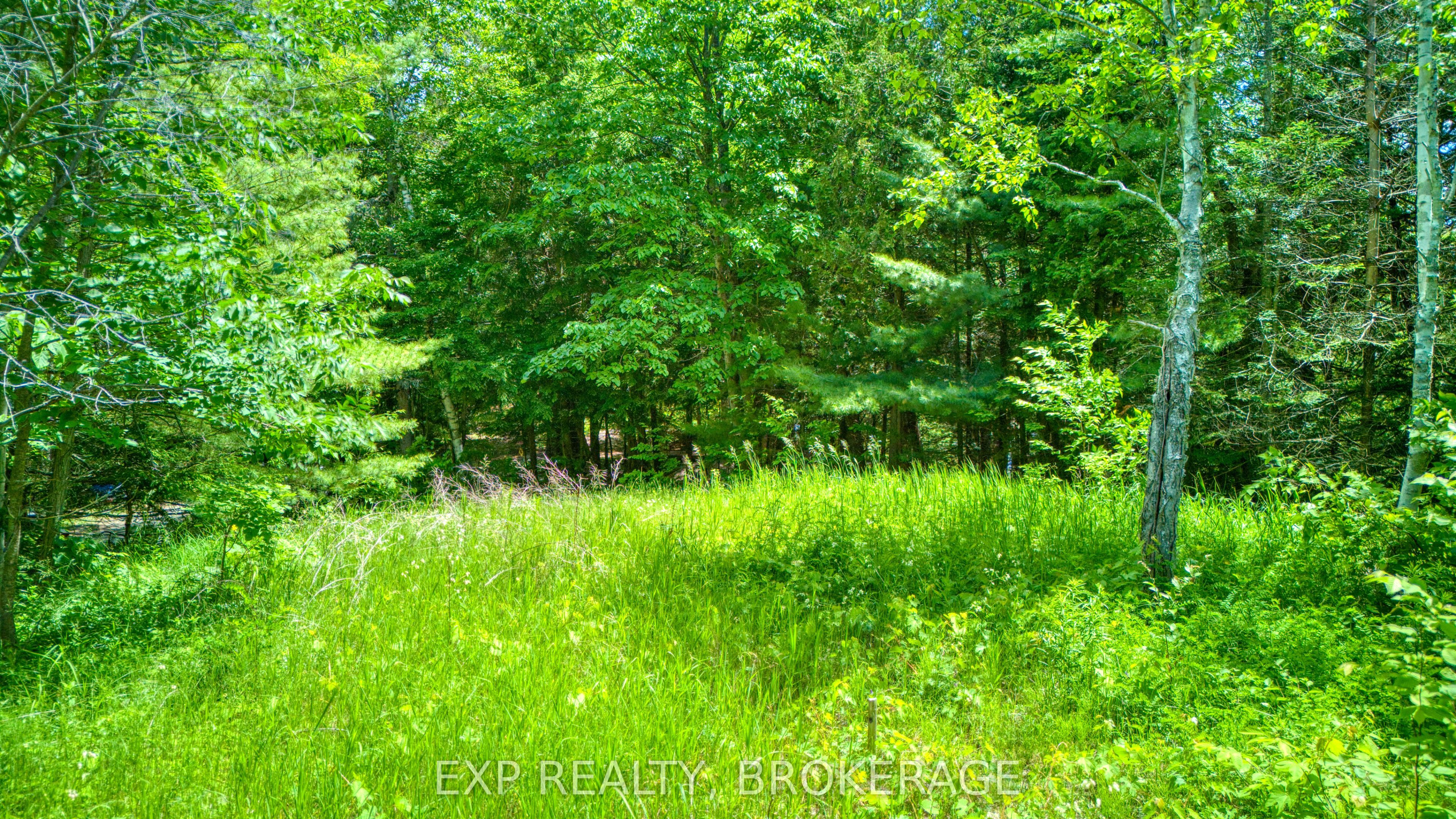 1142a Point Lane Property Photo 20