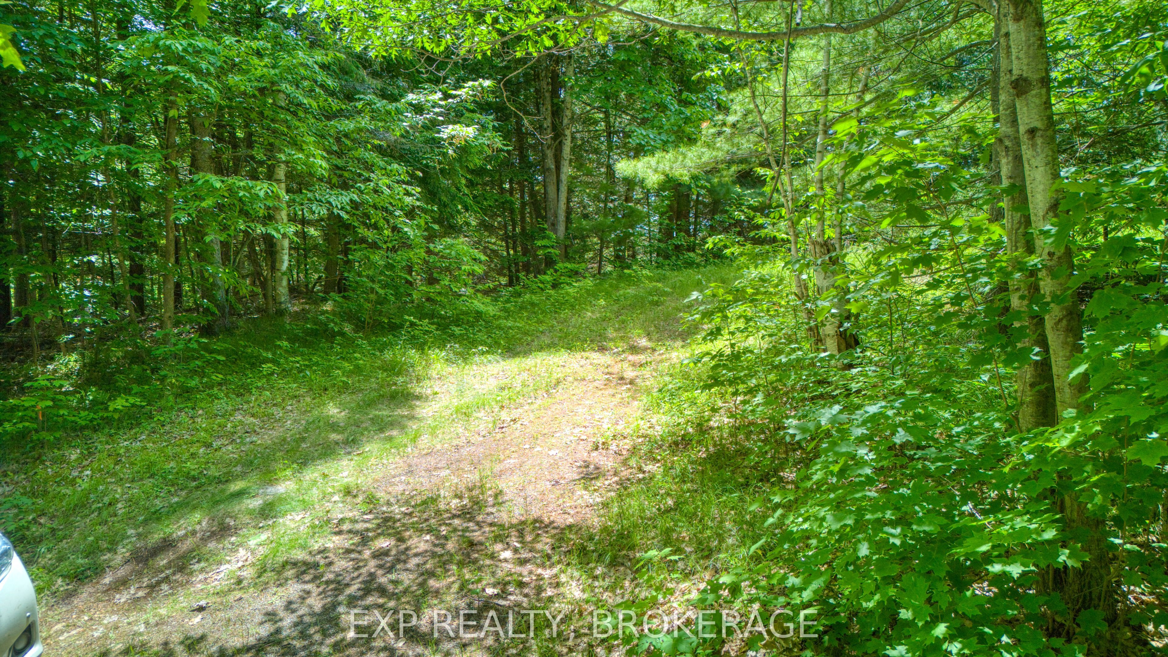 1142a Point Lane Property Photo 21