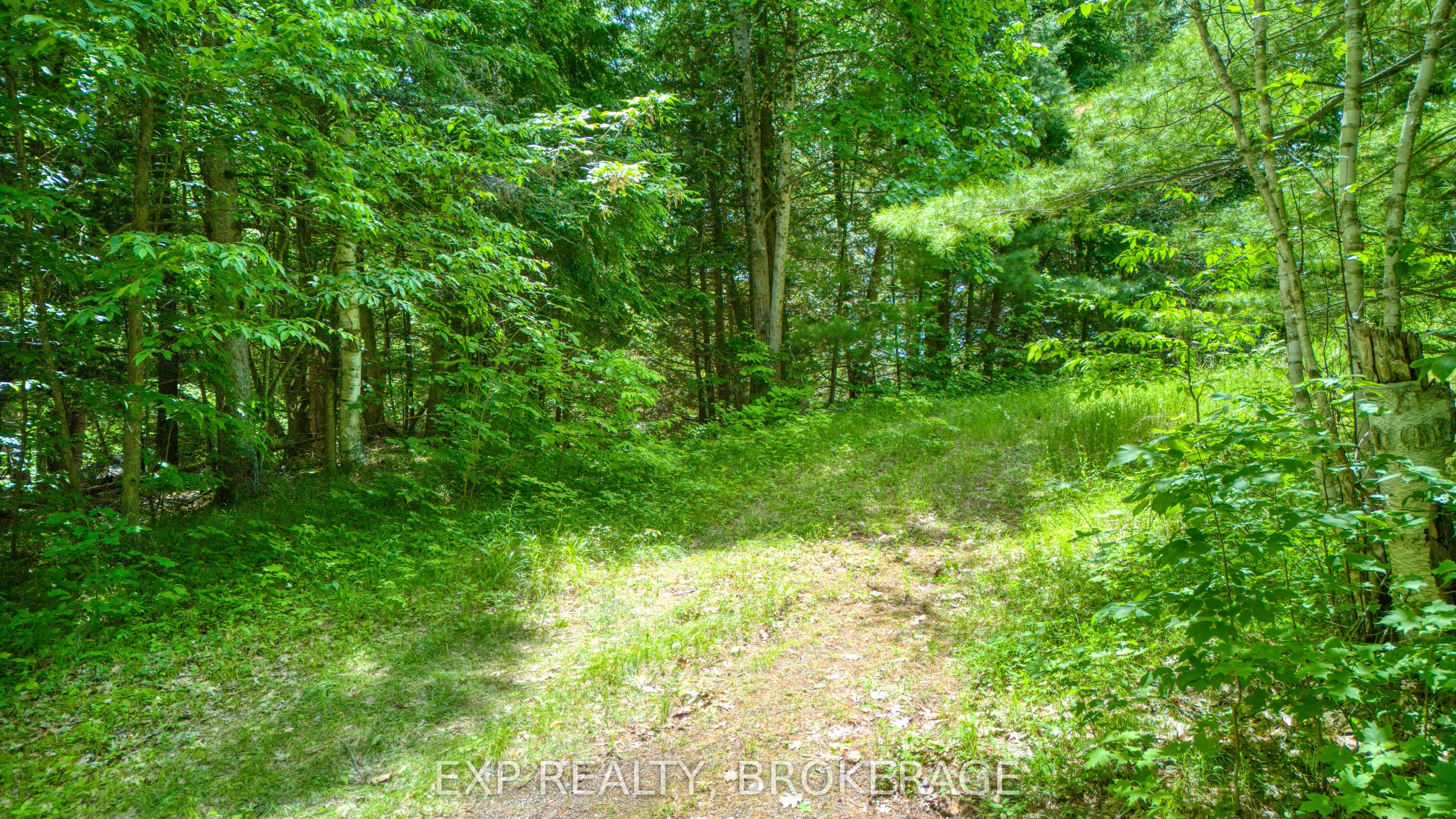 1142a Point Lane Property Photo 22