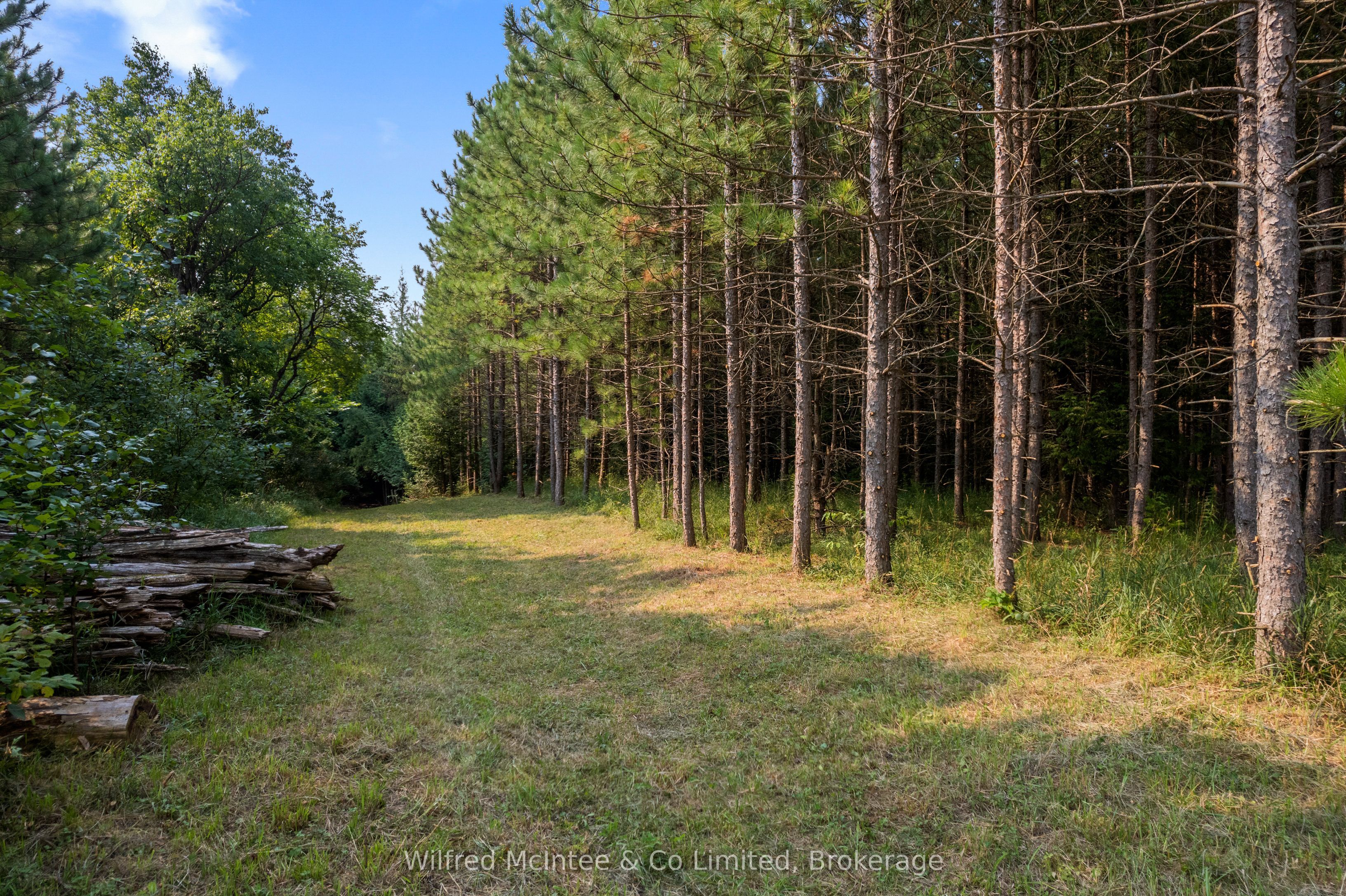 574461 Sideroad 40 Property Photo 34