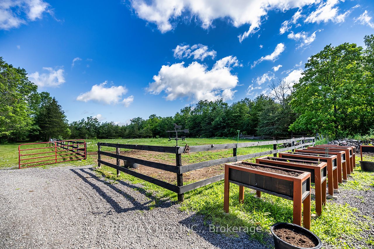 641 Enright Road Property Photo 41