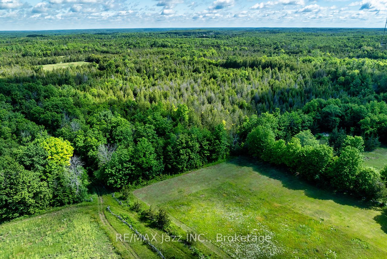 641 Enright Road Property Photo 49