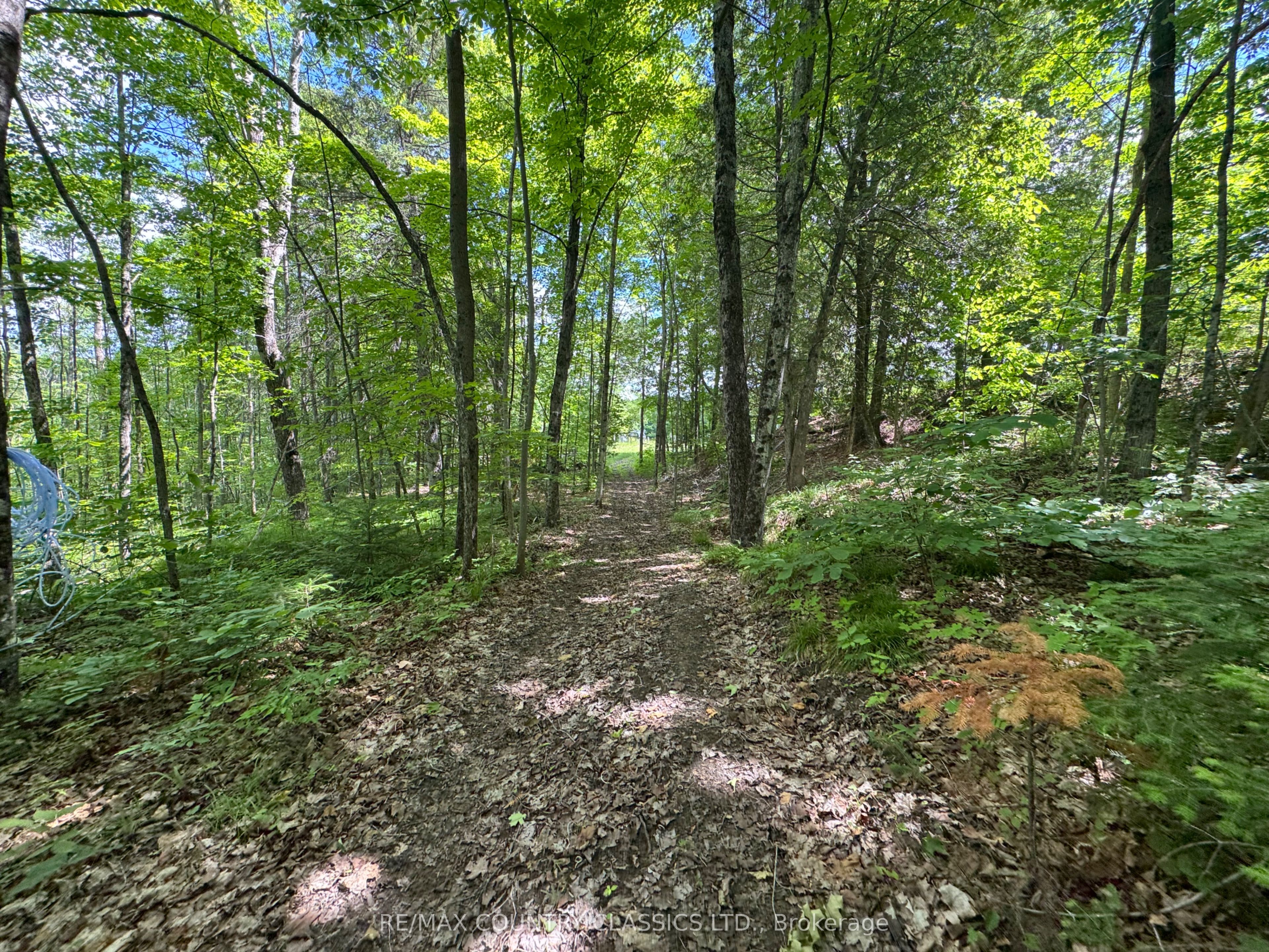 18 Soikie Road Property Photo 37