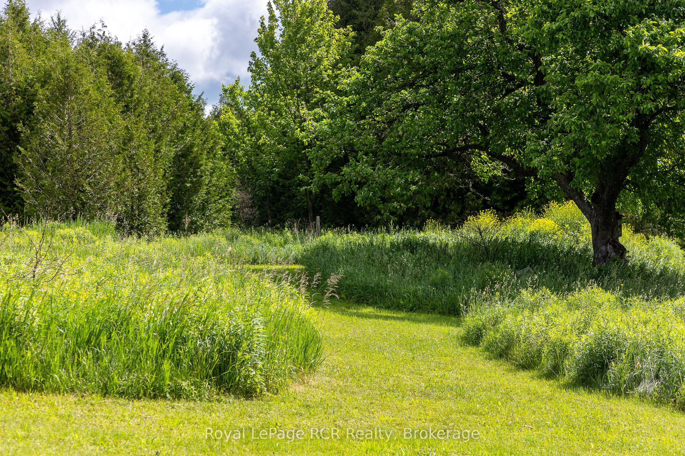 775355 Highway 10 Property Photo 36