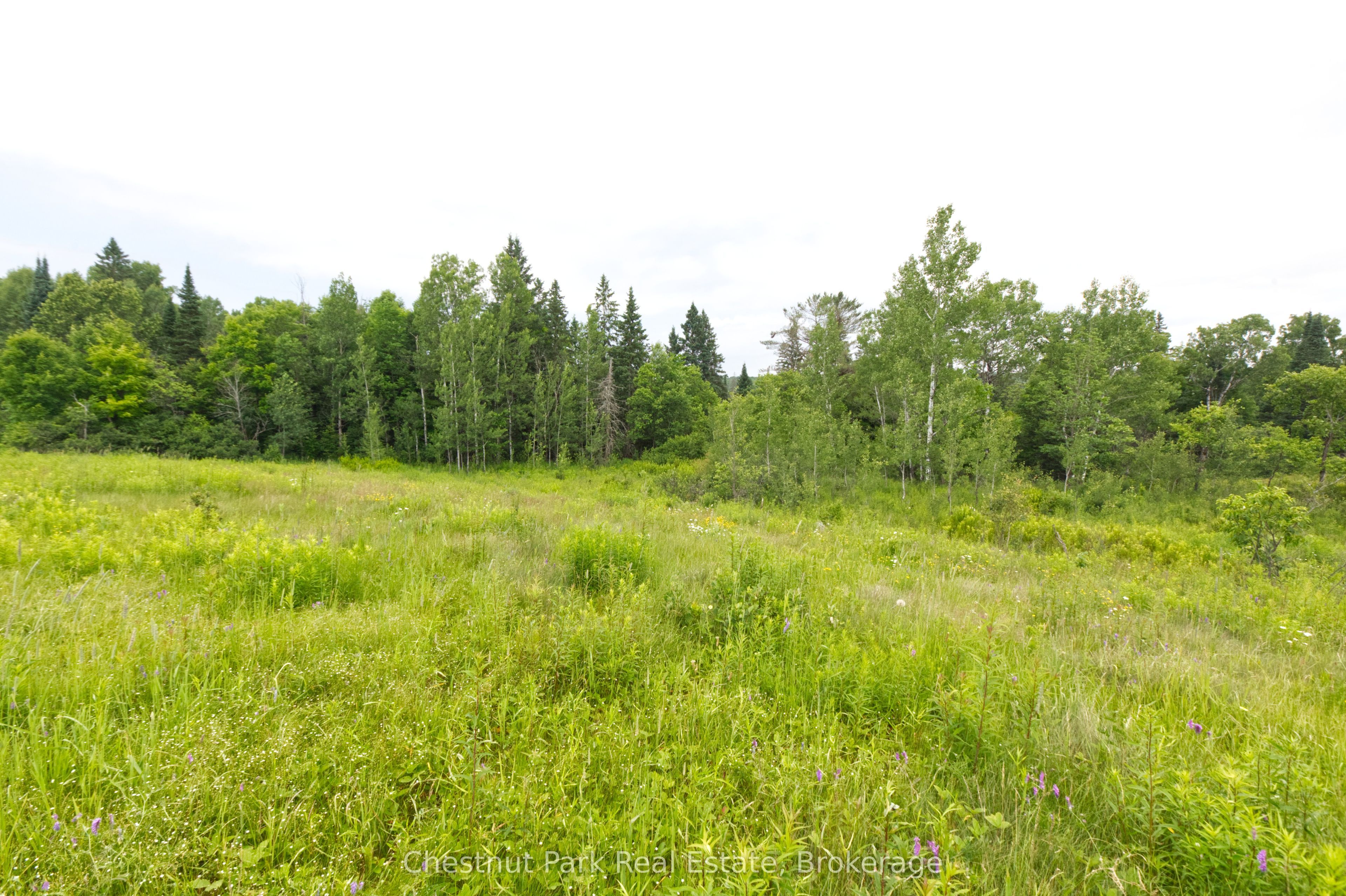 Lot 78 141 Highway Property Photo 2