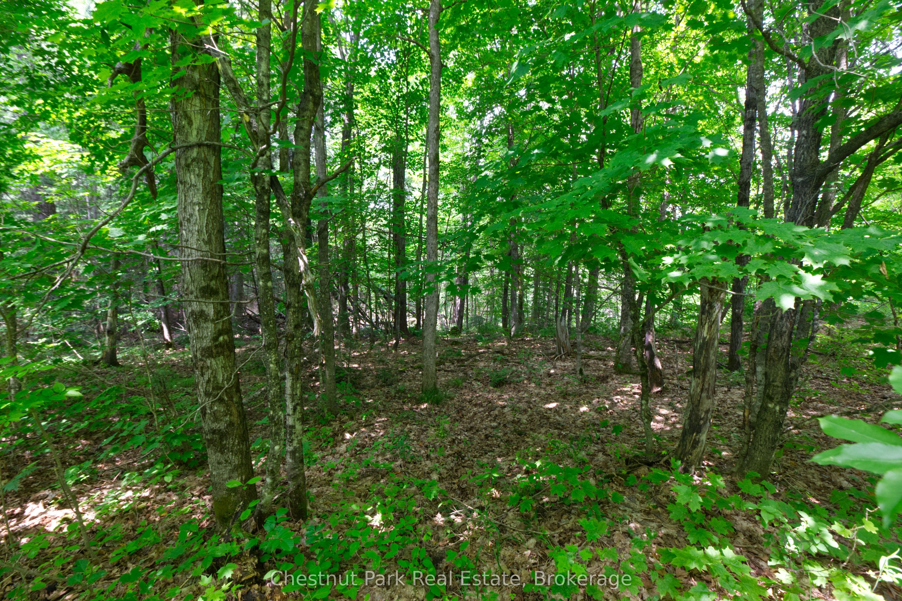 Lot 78 141 Highway Property Photo 3