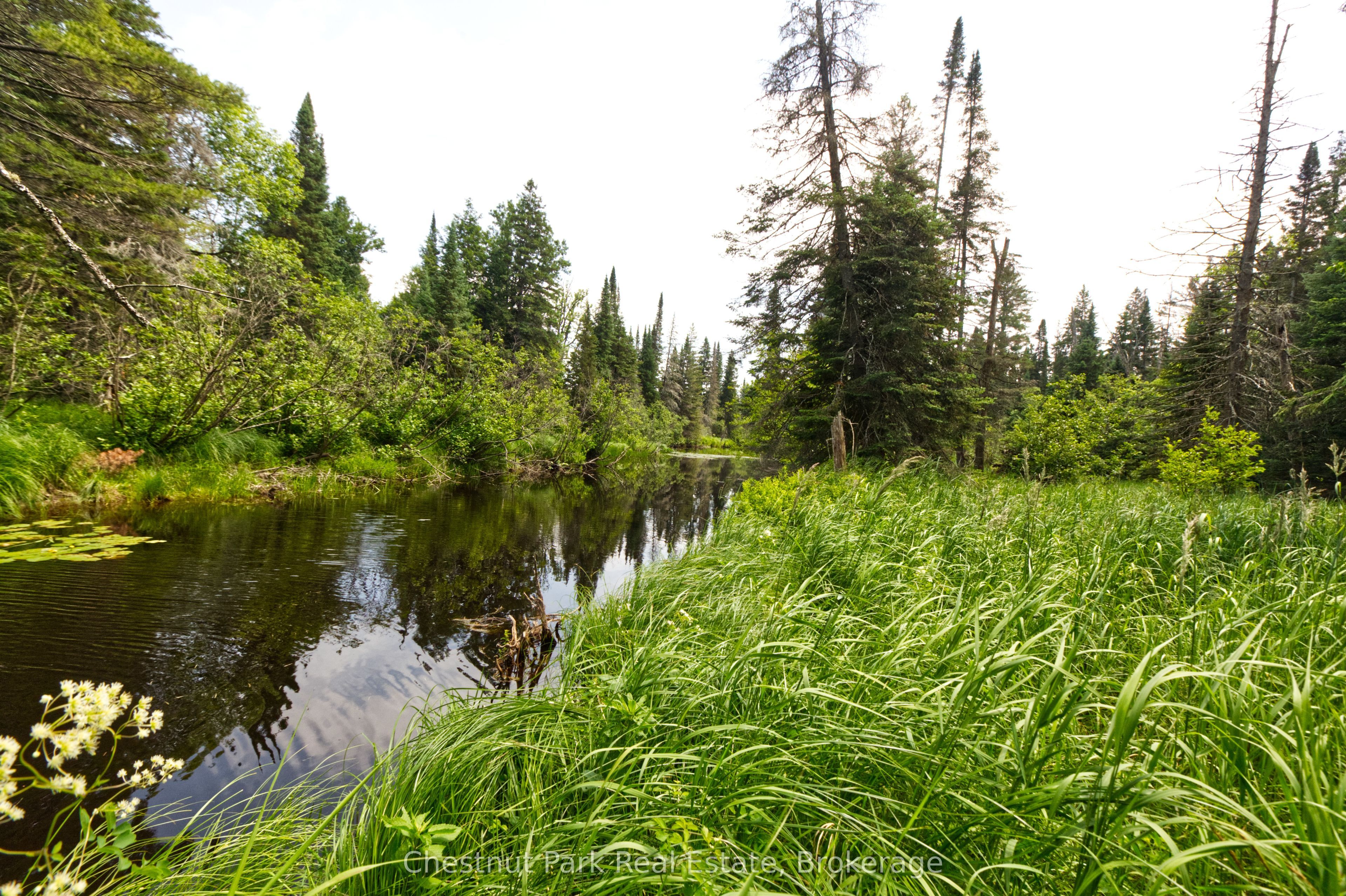 Lot 78 141 Highway Property Photo 4