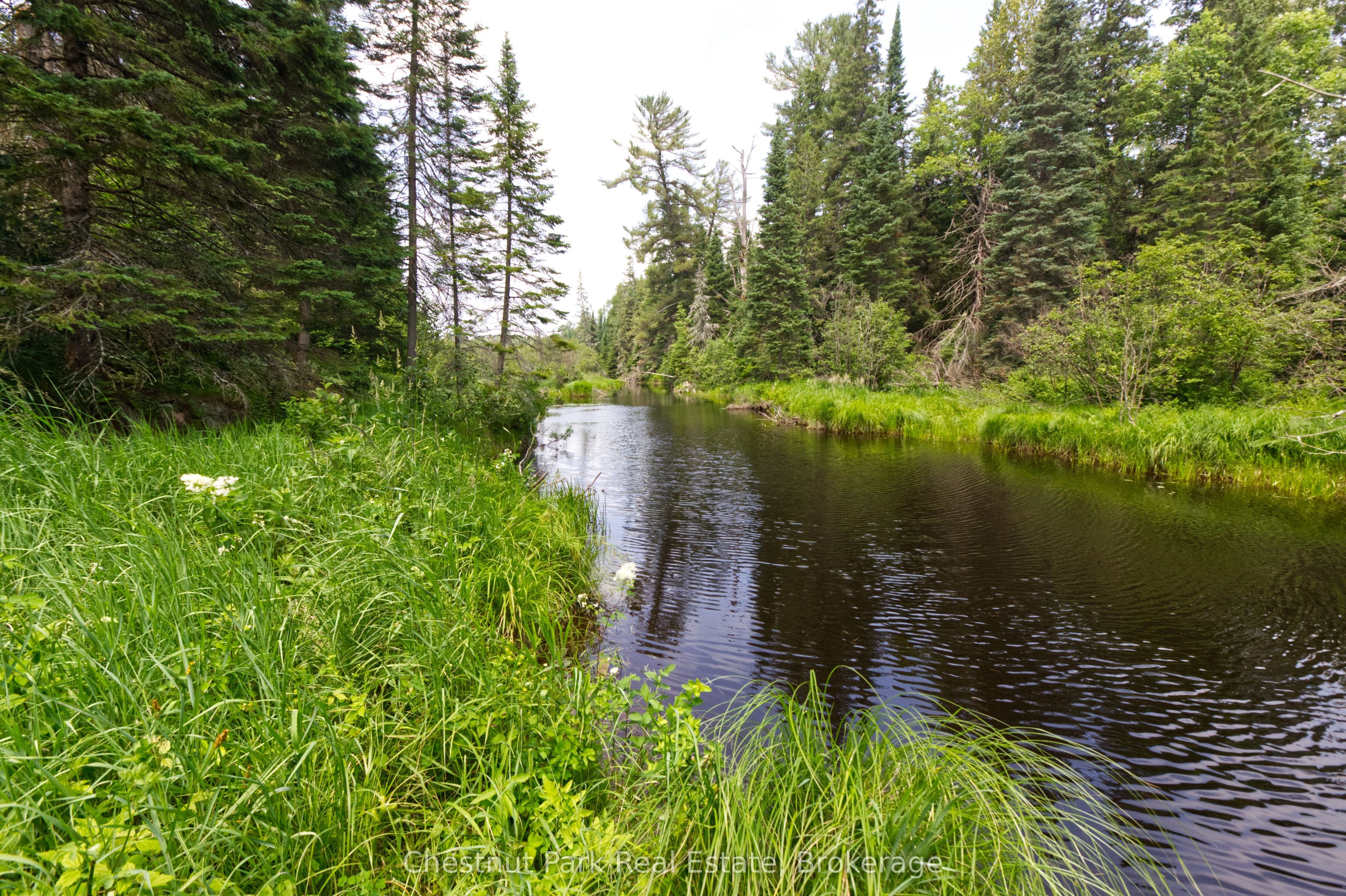 Lot 78 141 Highway Property Photo 5