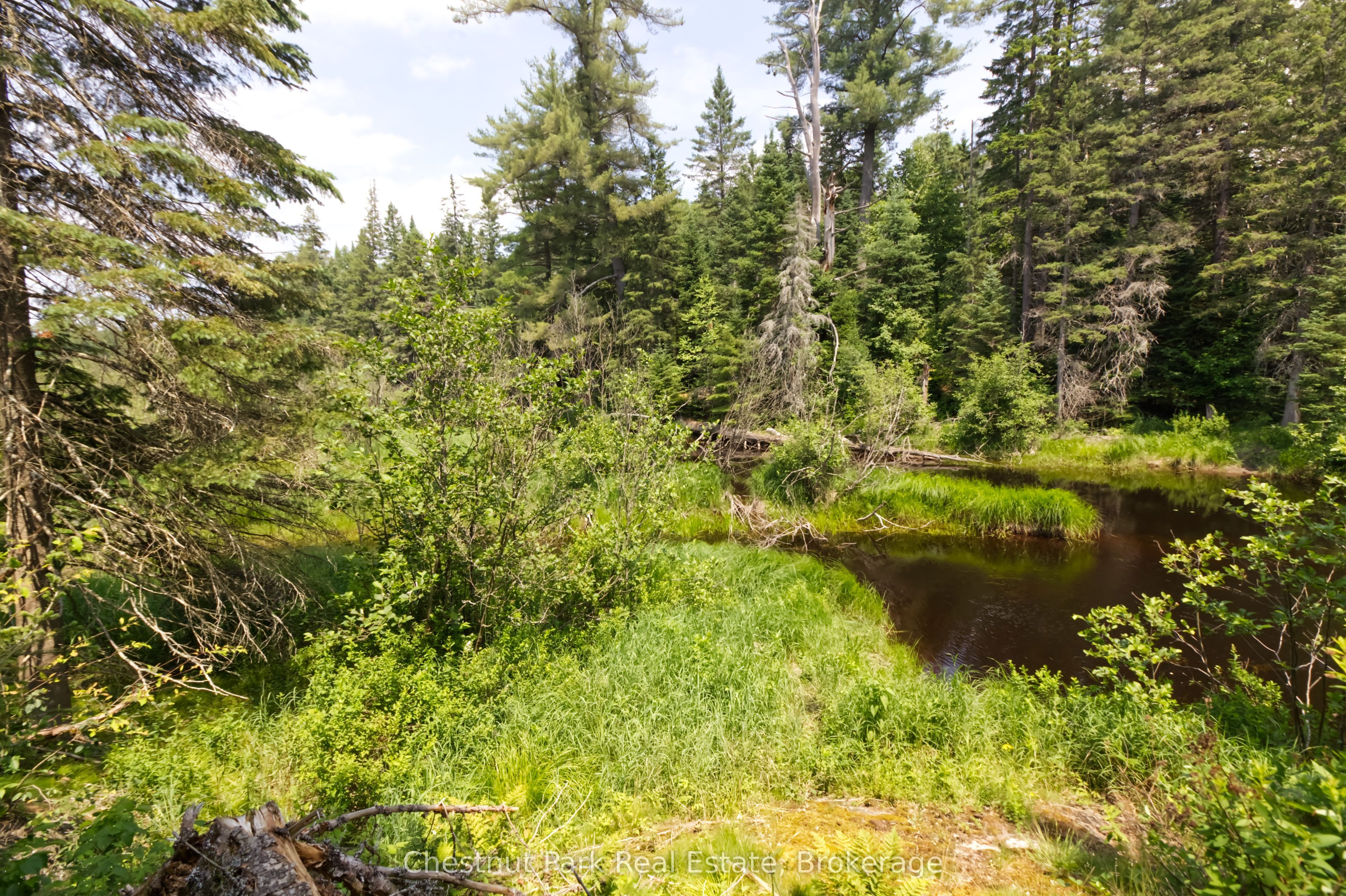 Lot 78 141 Highway Property Photo 6