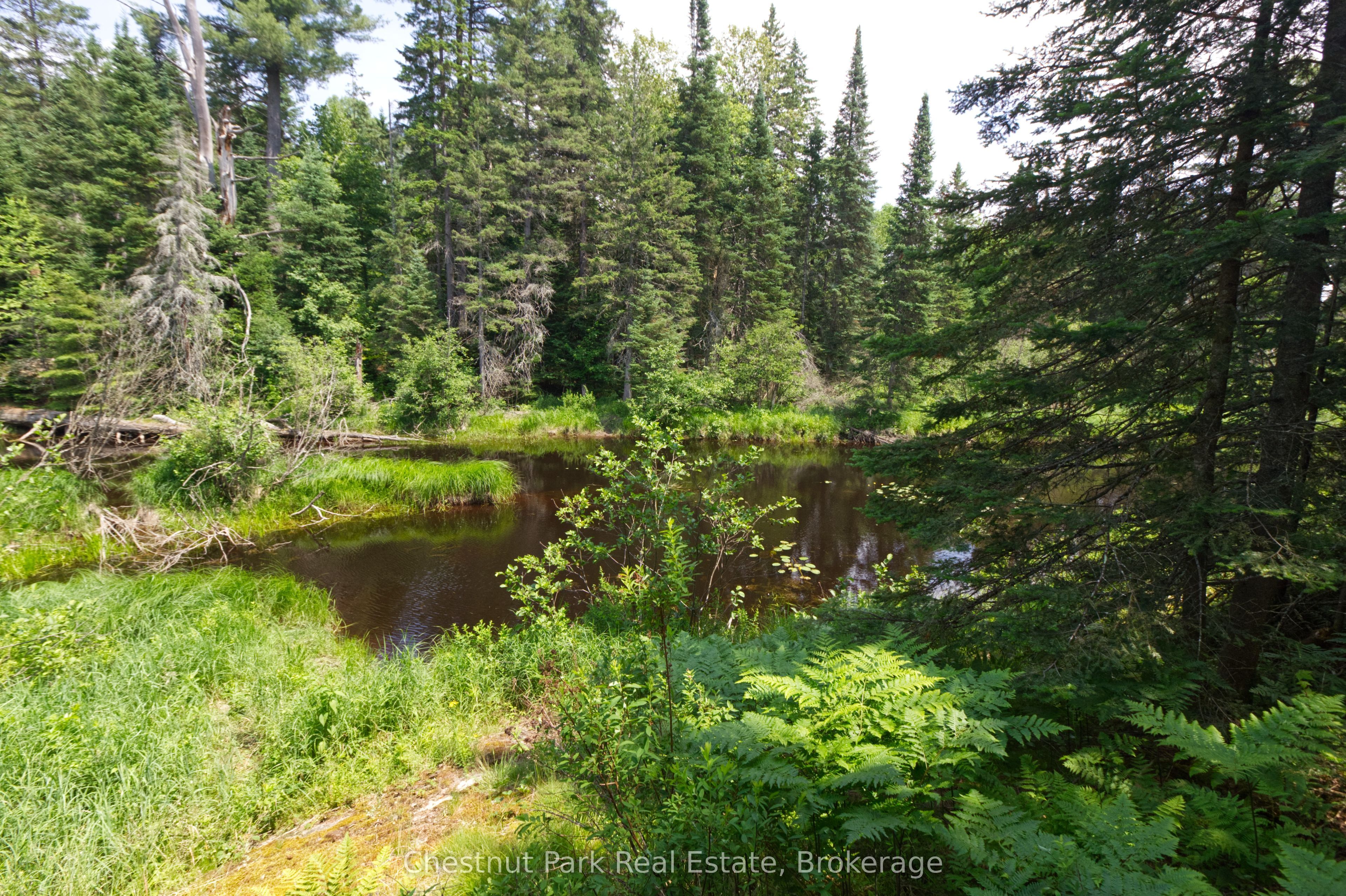 Lot 78 141 Highway Property Photo 7