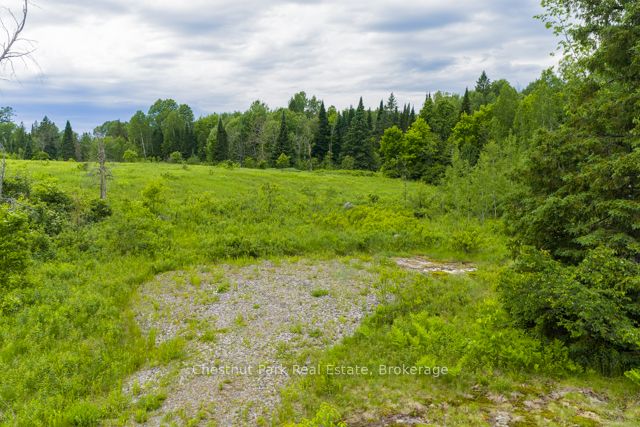 Lot 78 141 Highway Property Photo 12