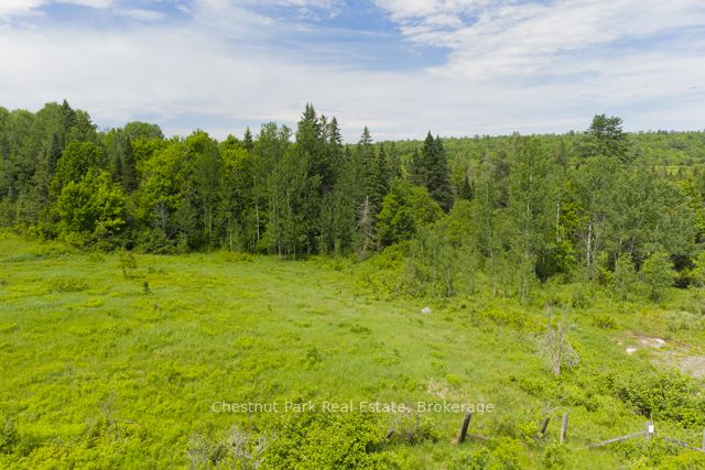 Lot 78 141 Highway Property Photo 13