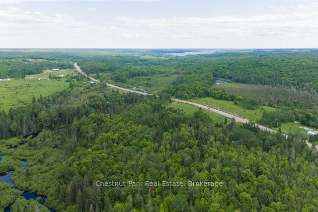 Lot 78 141 Highway Property Photo 16