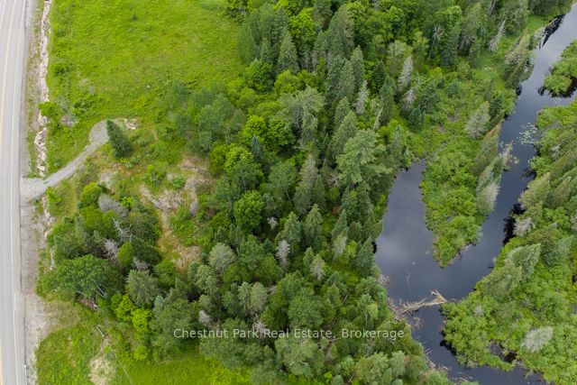 Lot 78 141 Highway Property Photo 21