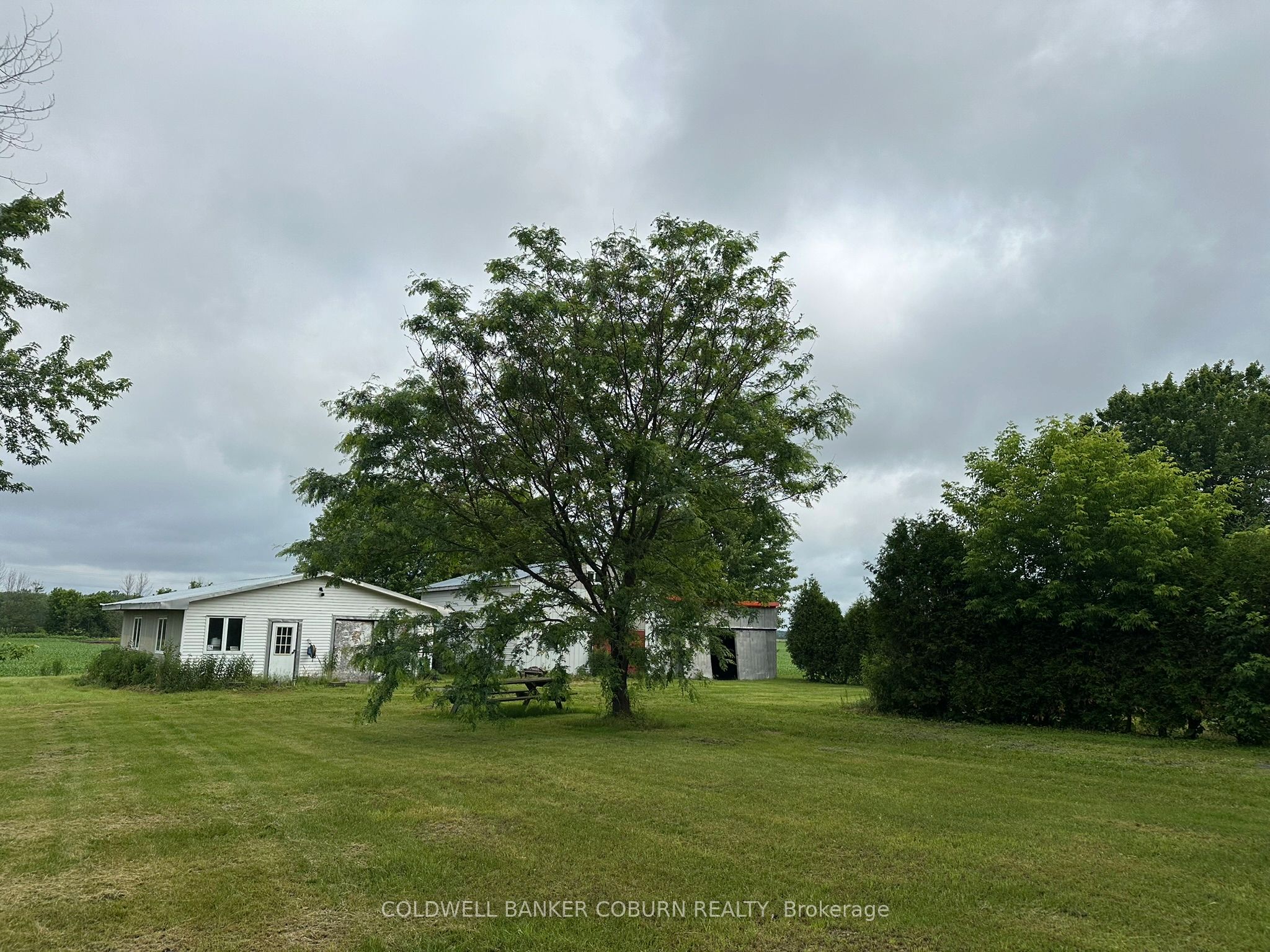 12169 Deeks Road Property Photo 14