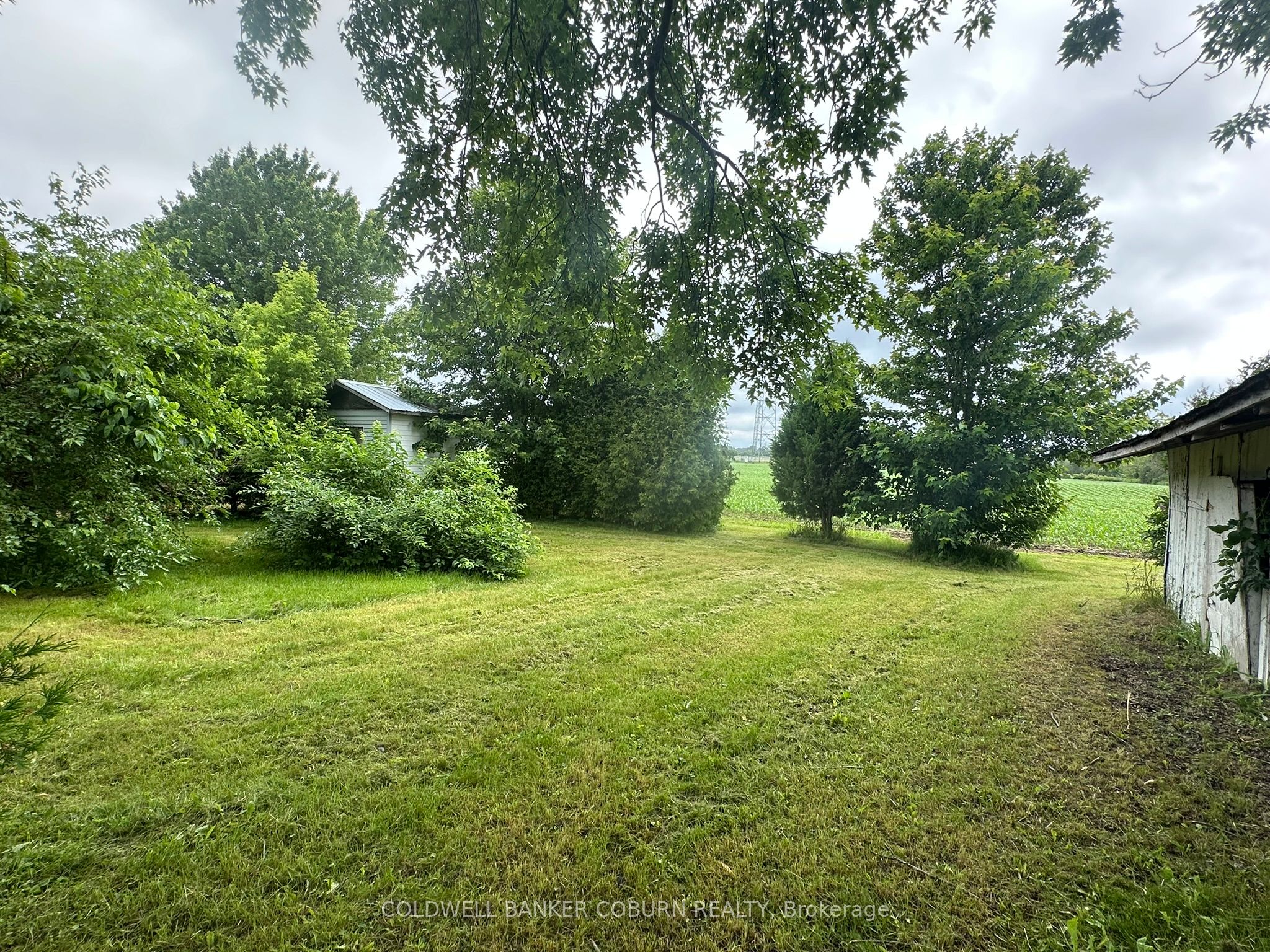 12169 Deeks Road Property Photo 17