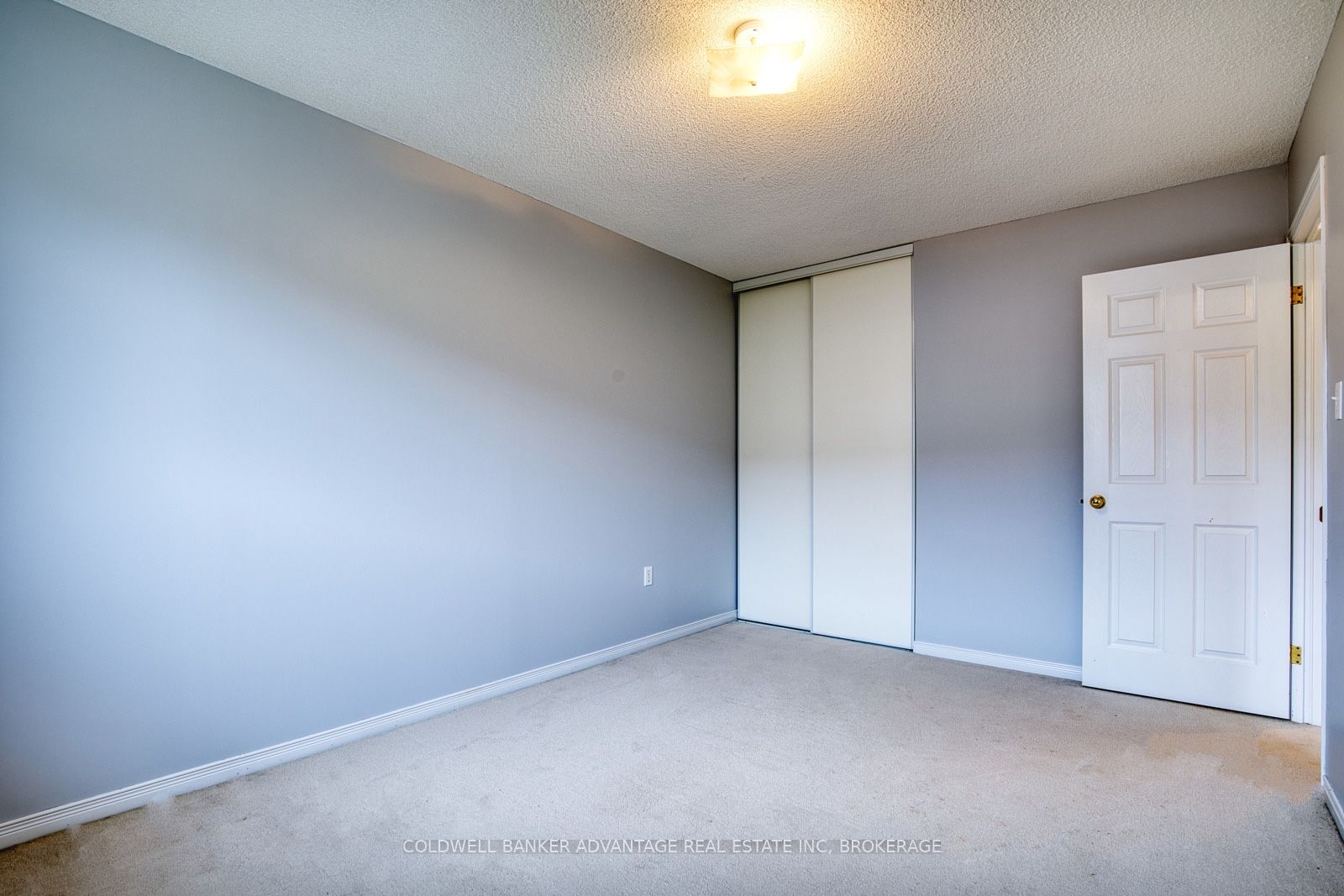800 Paramount Drive 2 Property Photo 19