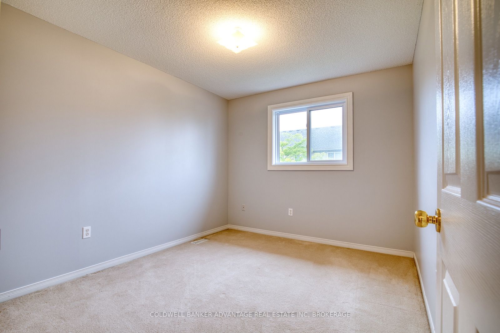 800 Paramount Drive 2 Property Photo 21