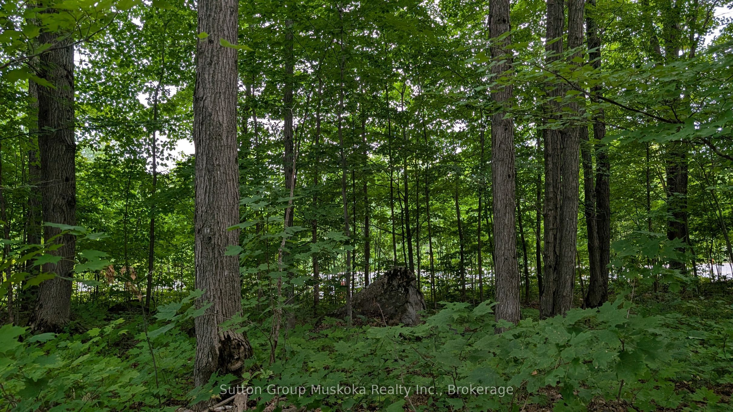 837 Aspdin Road Property Photo 1