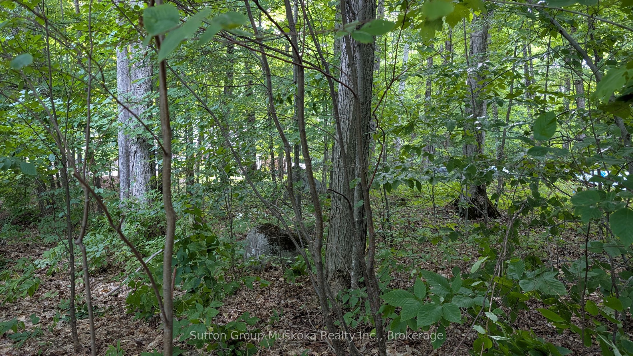 837 Aspdin Road Property Photo 3