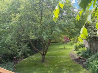 23 Francis Street Property Photo 20