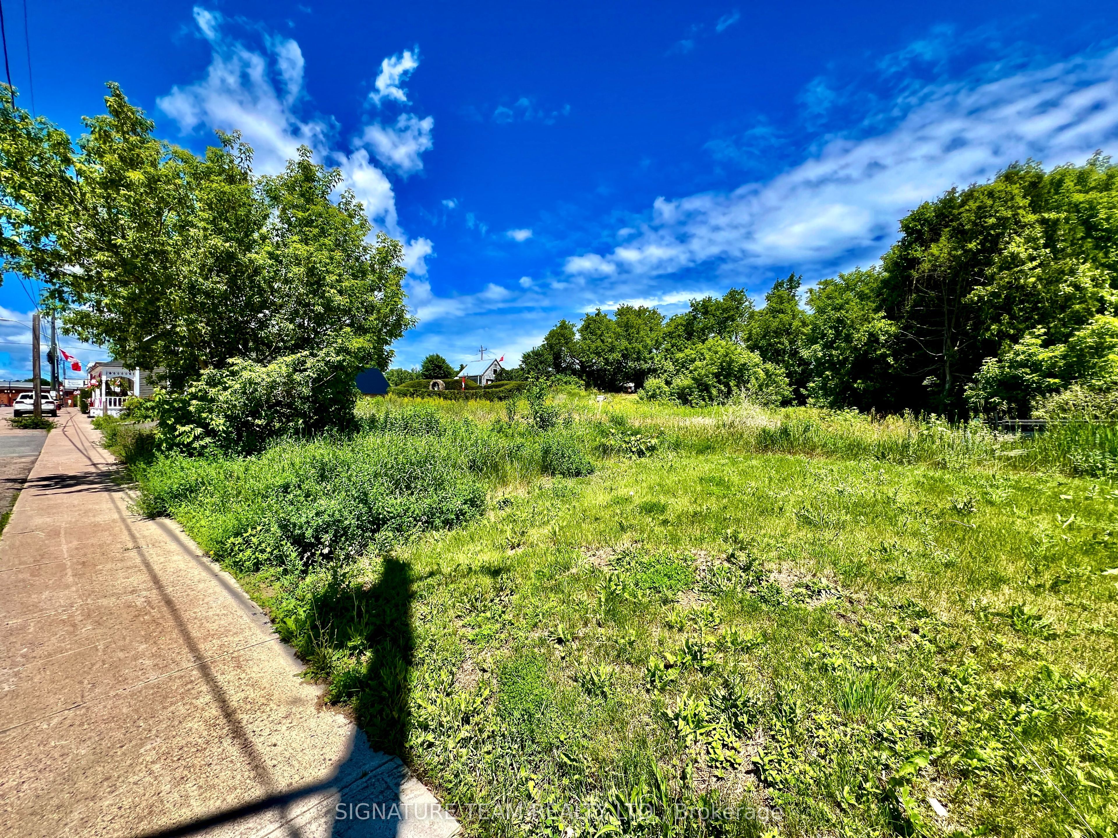 203 John Street Property Photo 10