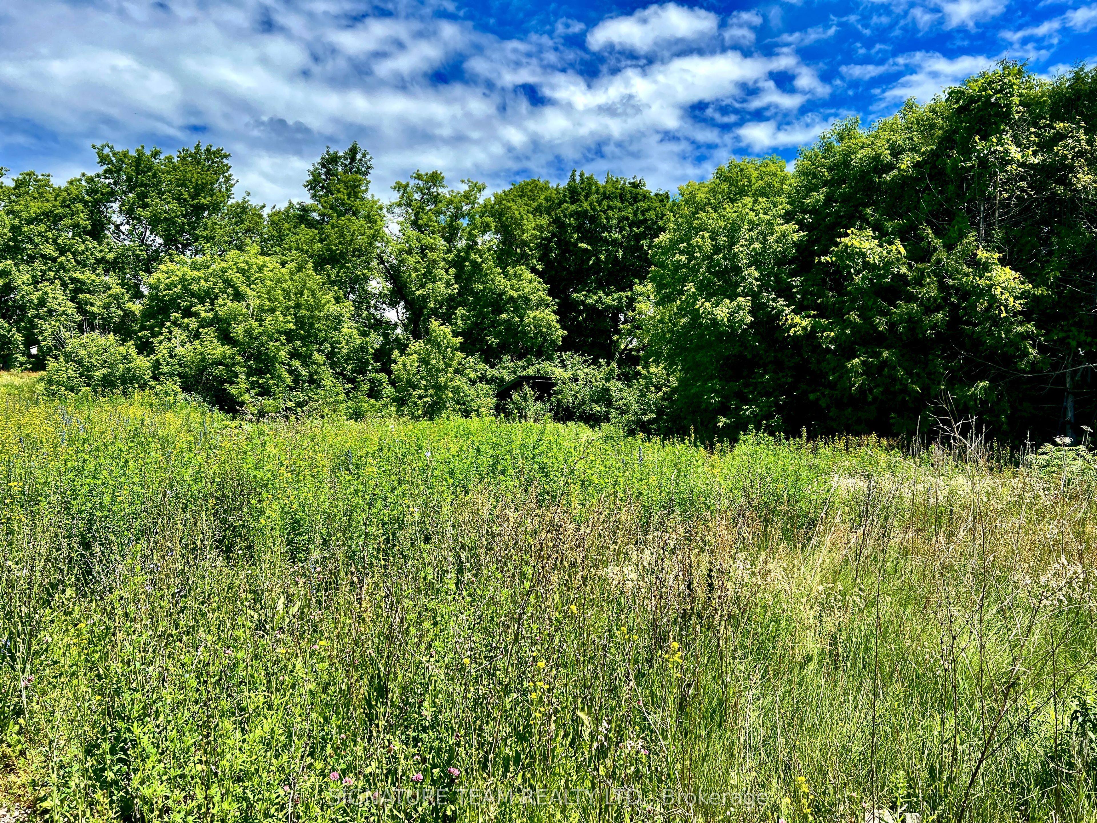 203 John Street Property Photo 12
