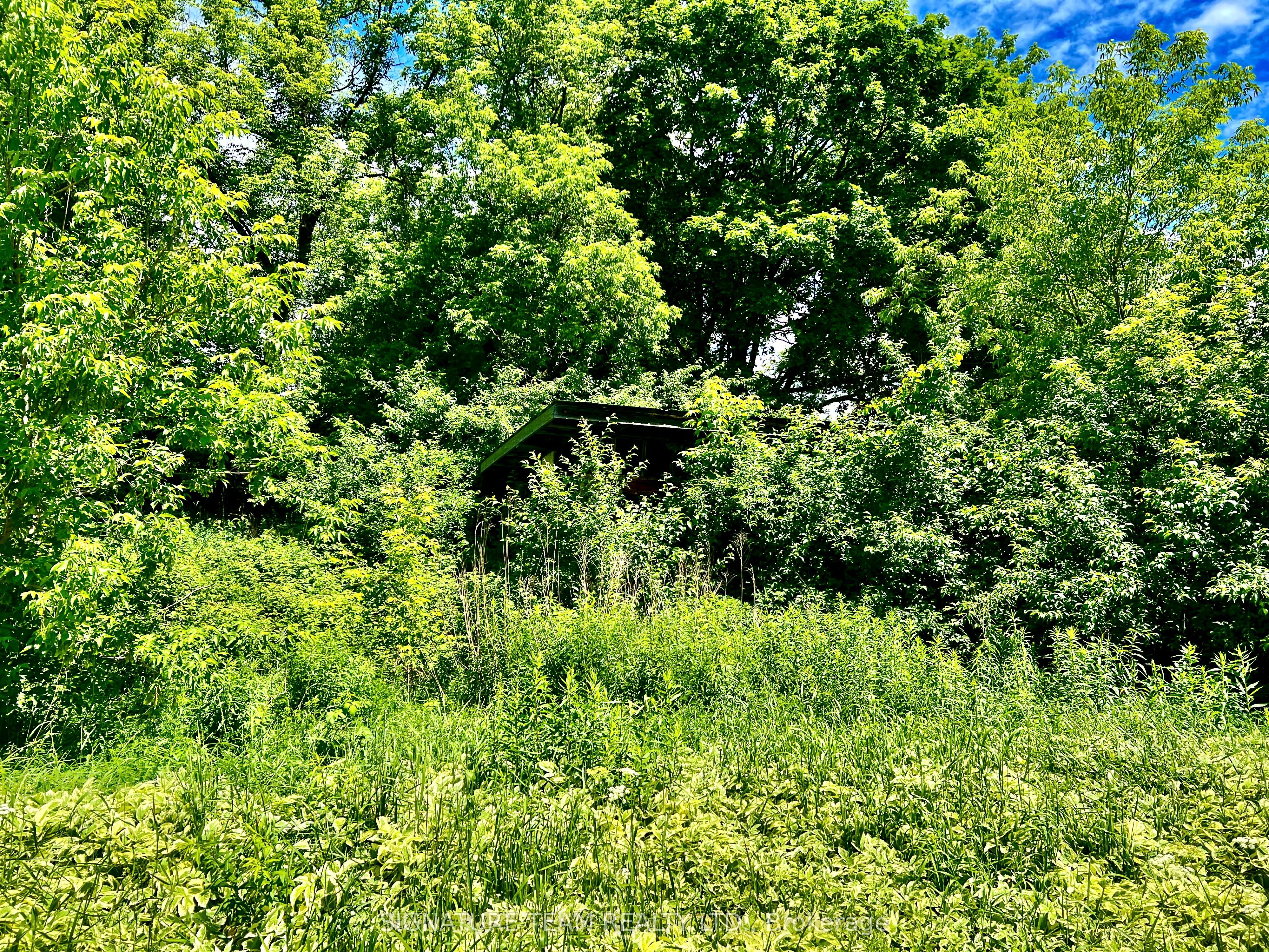 203 John Street Property Photo 14